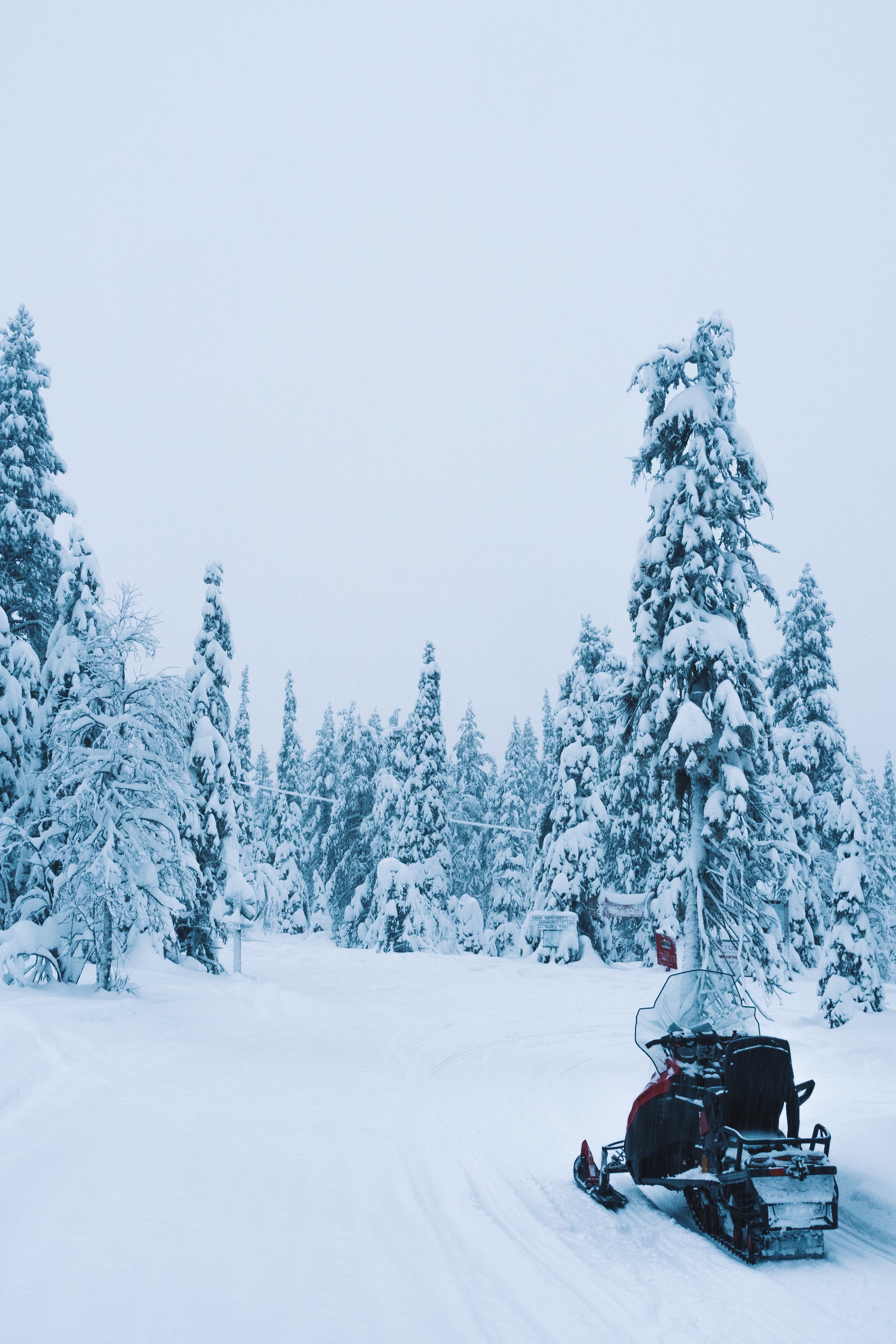 winter, nature, trees, snow, snowmobile