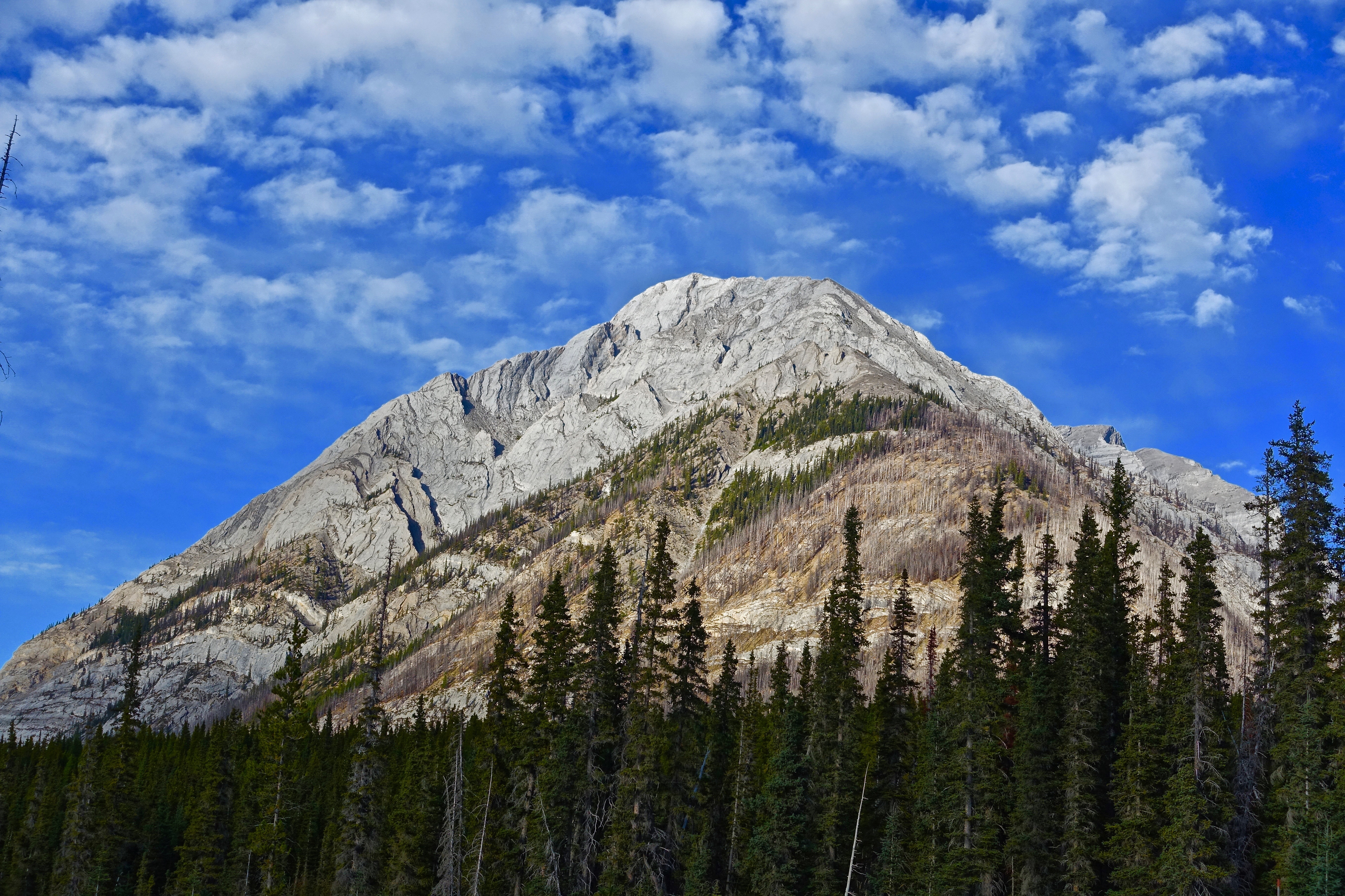 Laden Sie das Bäume, Gipfel, Clouds, Höhepunkt, Natur, Mountains-Bild kostenlos auf Ihren PC-Desktop herunter