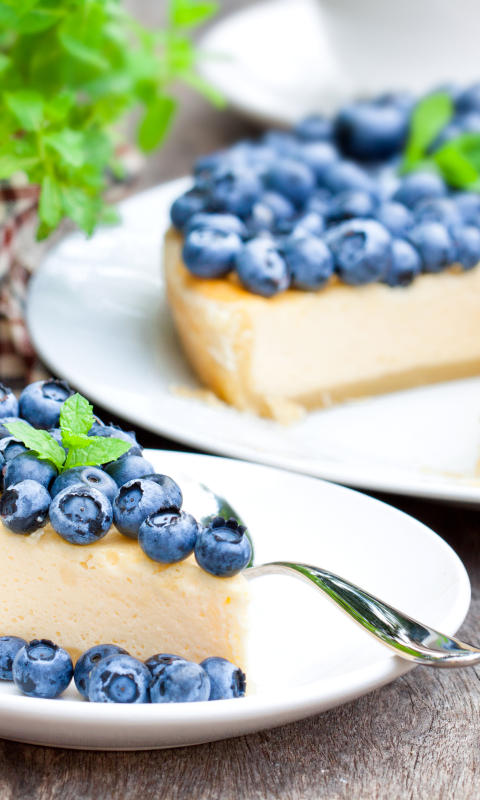 Download mobile wallpaper Food, Dessert, Blueberry, Baking, Pie for free.