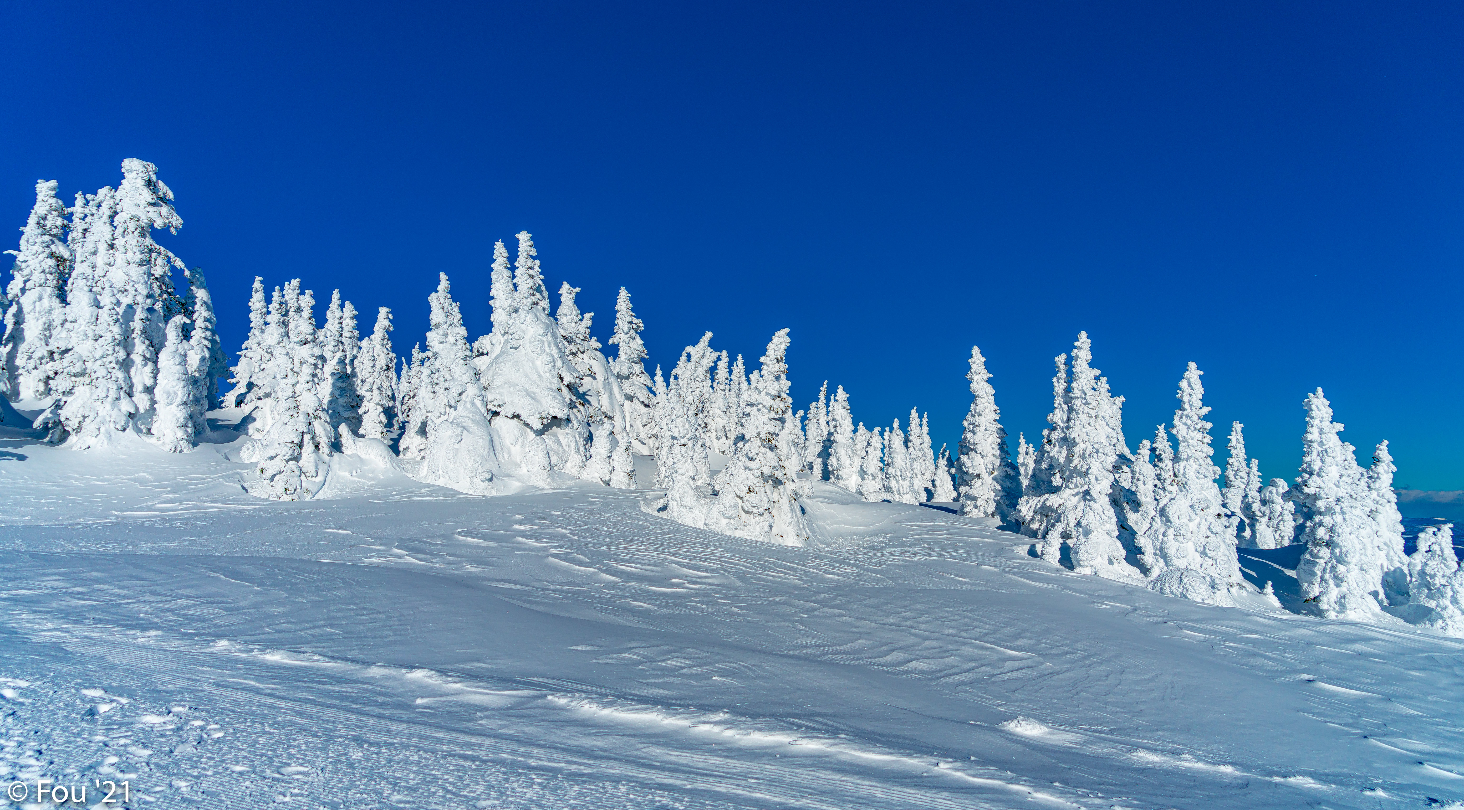 Скачать обои бесплатно Заснеженный, Снег, Деревья, Природа, Пейзаж, Зима картинка на рабочий стол ПК