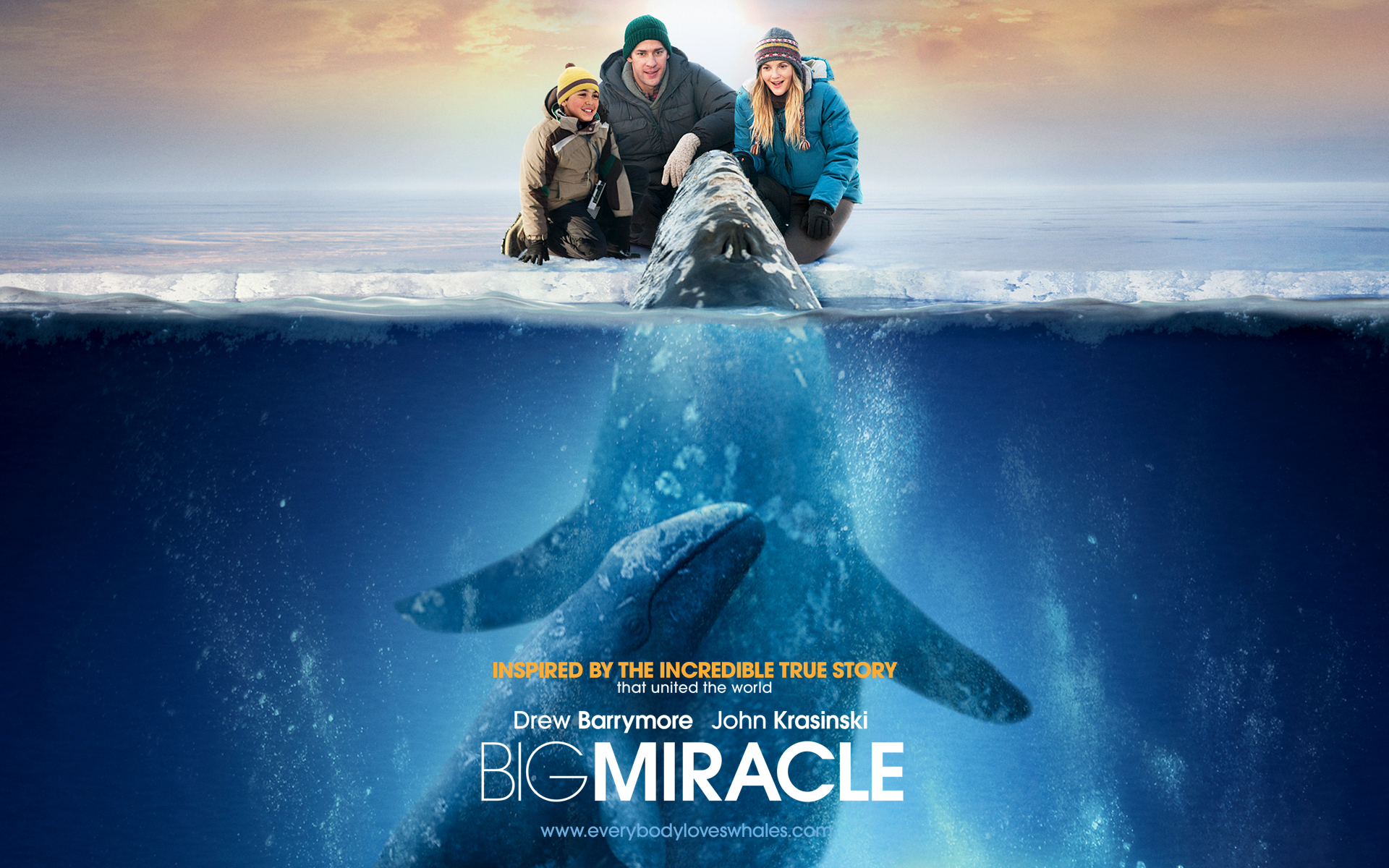 Download mobile wallpaper Movie, Big Miracle for free.
