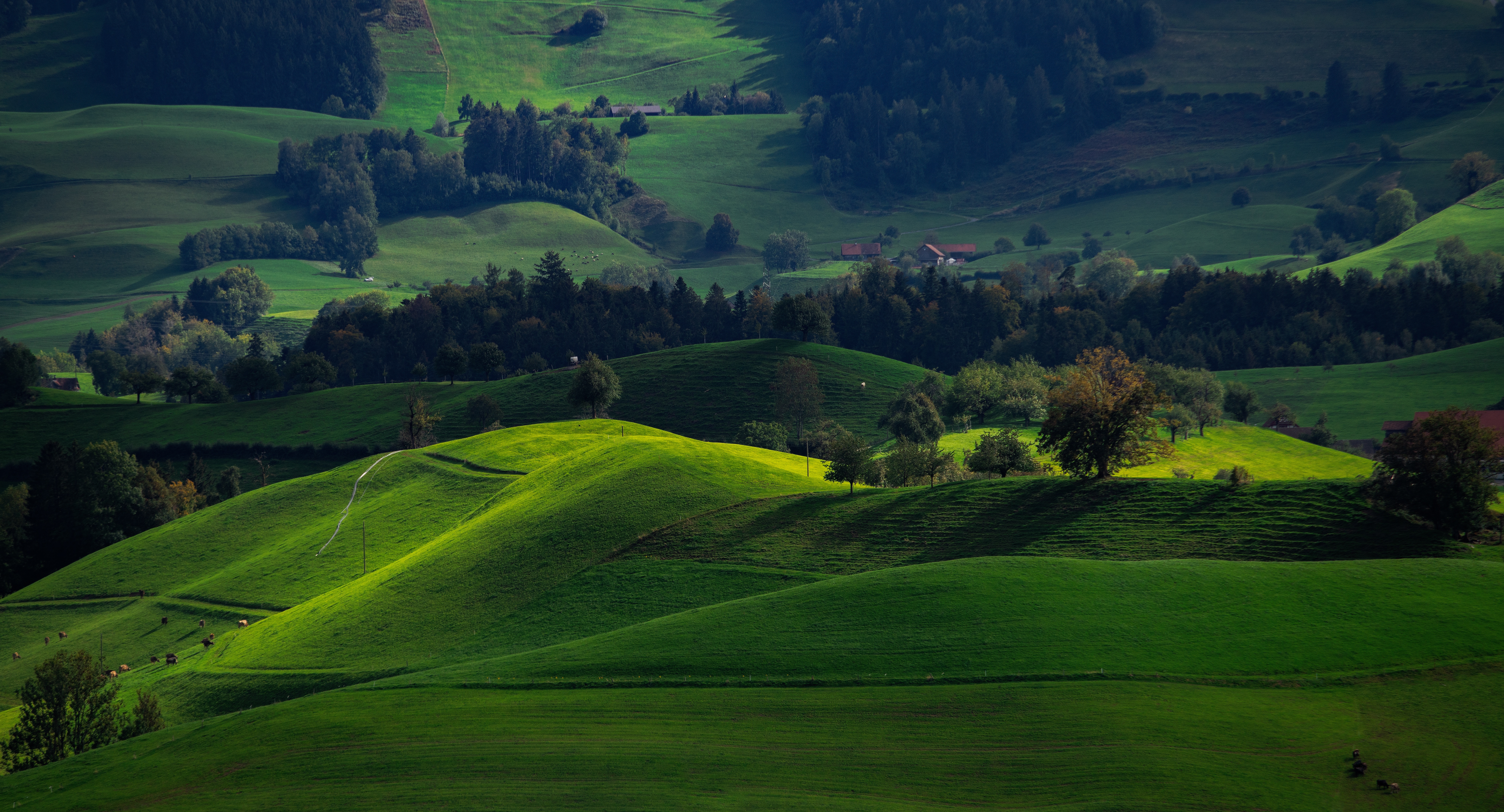 115559 скачать картинку швейцария, зеленый, природа, поля, долина, хирцель - обои и заставки бесплатно