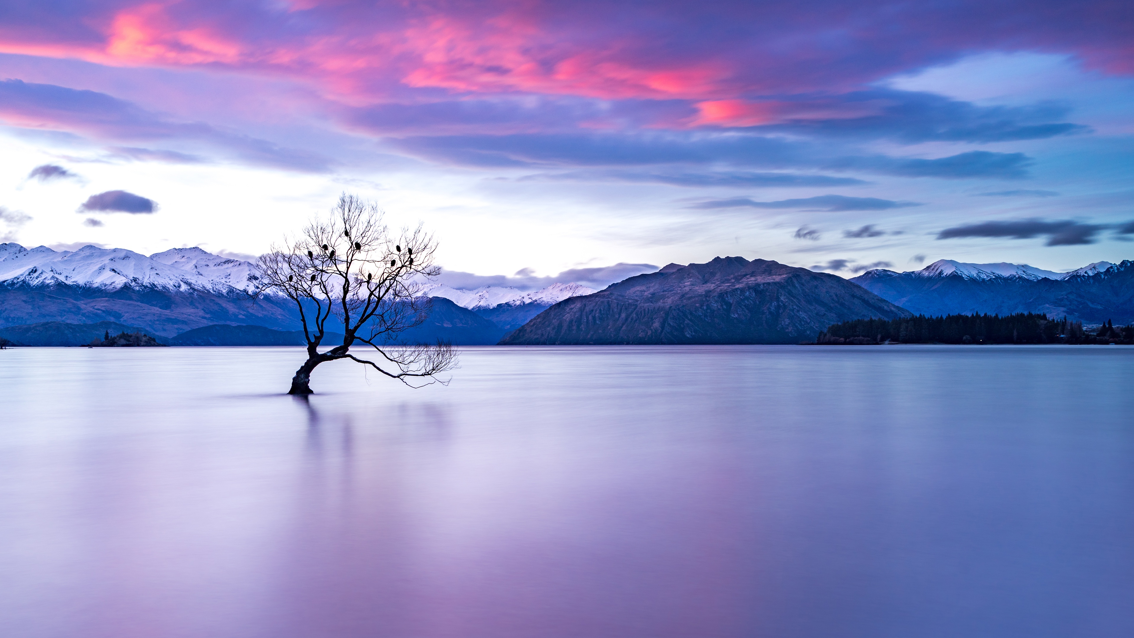 Скачать картинку Озера, Гора, Озеро, Новая Зеландия, Дерево, Земля/природа в телефон бесплатно.