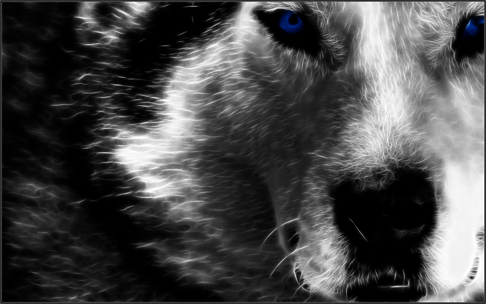 PCデスクトップに動物, オオカミ, フラクタル, 狼画像を無料でダウンロード