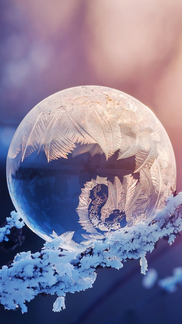 Скачать картинку Зима, Пузыри, Макро, Замороженный, Пузырь, Земля/природа, Холодное Сердце, Макрос в телефон бесплатно.
