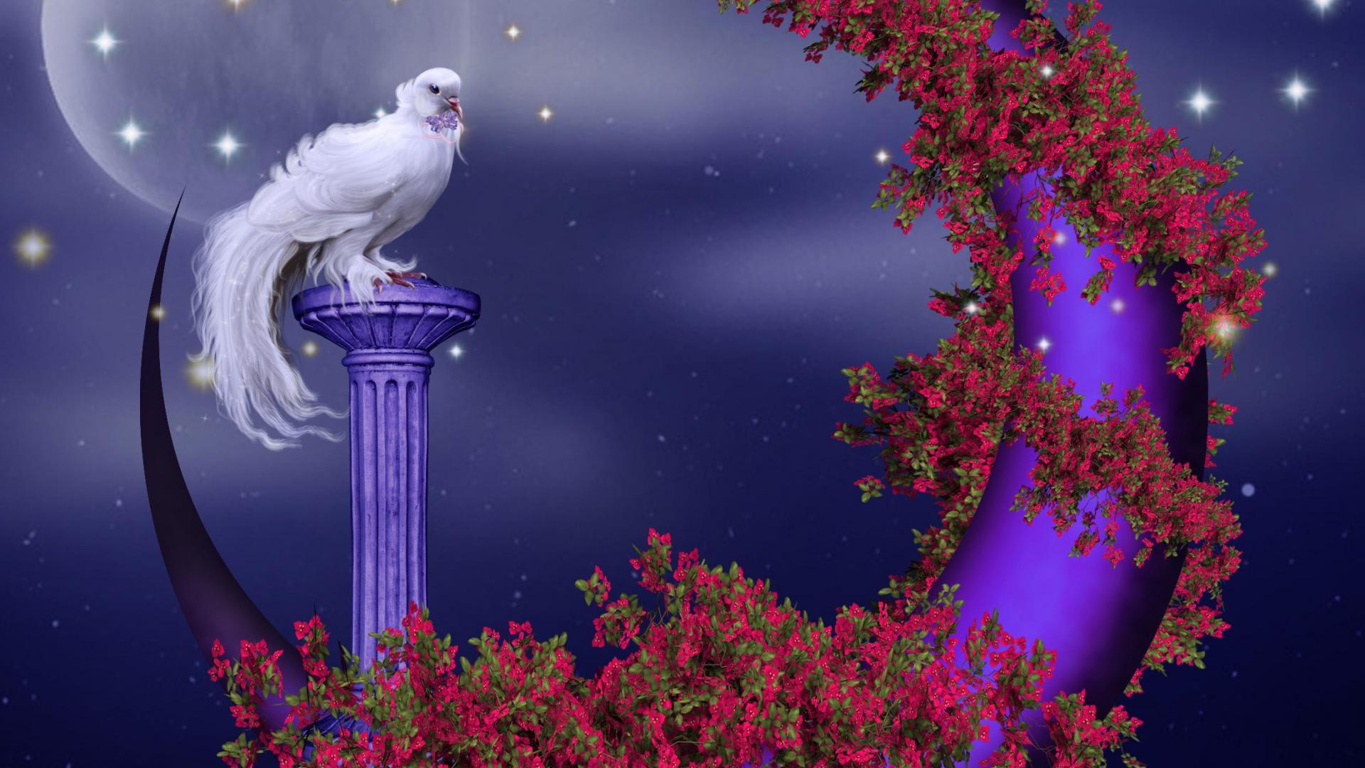 Free download wallpaper Moon, Flower, Artistic, Dove on your PC desktop