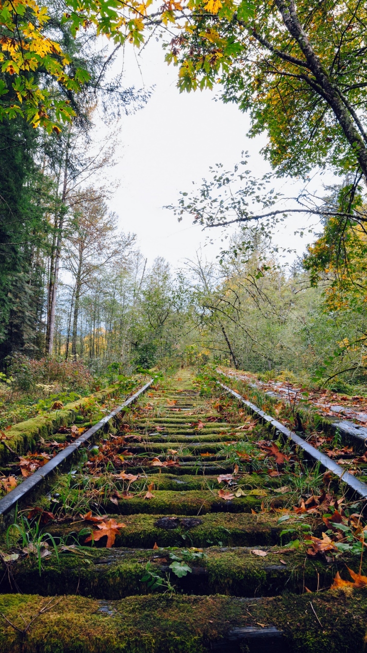 Download mobile wallpaper Nature, Forest, Railroad, Man Made for free.