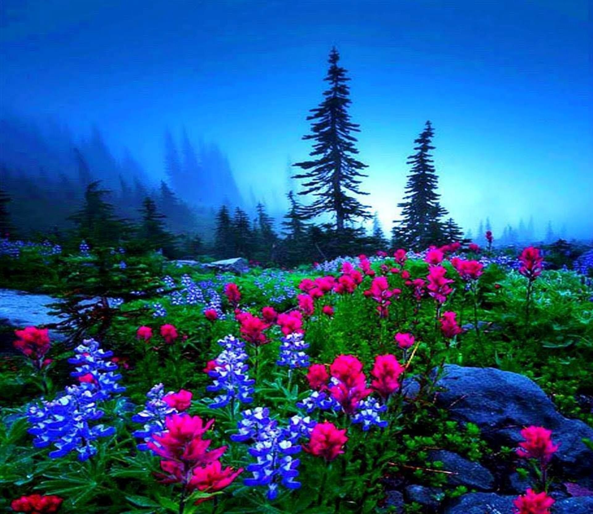 Baixe gratuitamente a imagem Flor, Flor Rosa, Árvore, Terra, Primavera, Terra/natureza na área de trabalho do seu PC