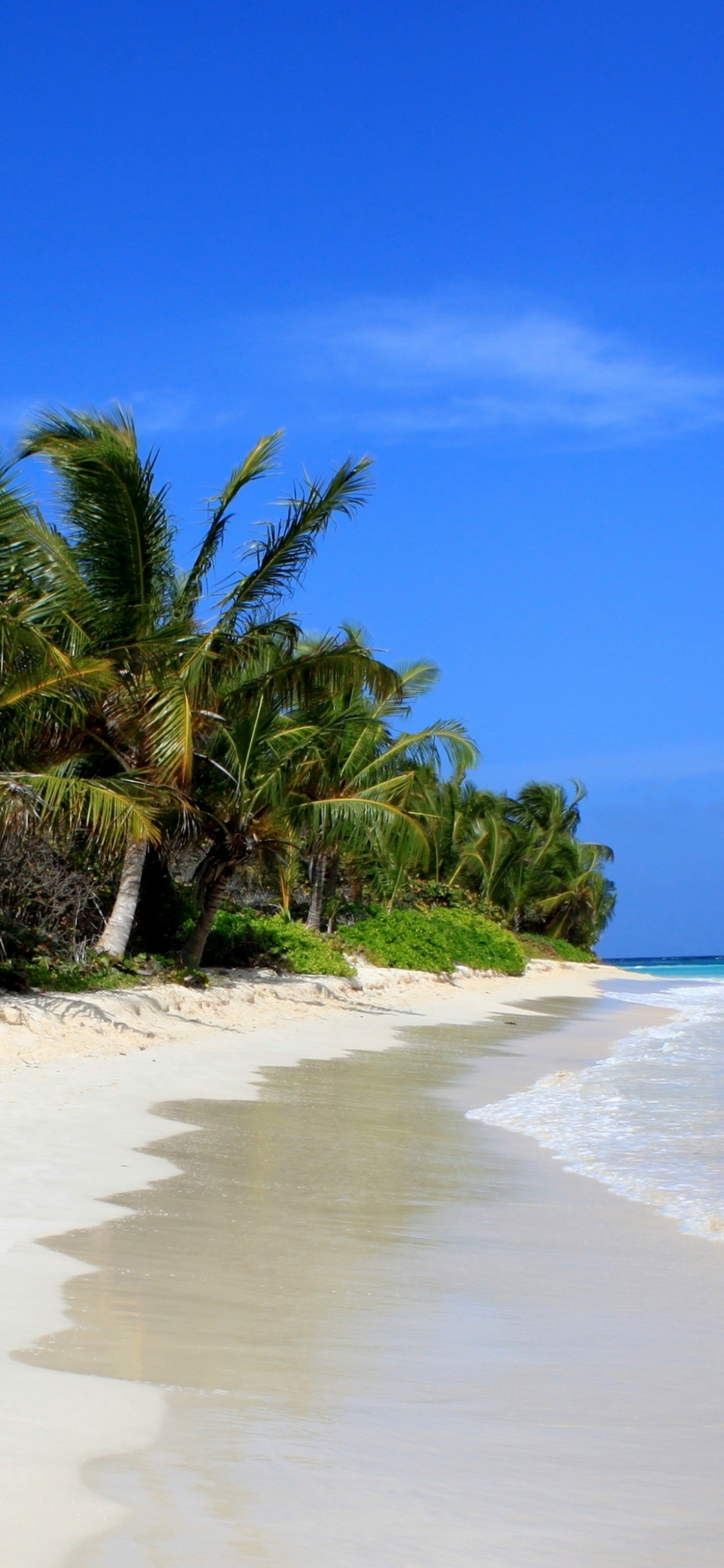 1424758 Hintergrundbild herunterladen strand, erde/natur, puerto rico, flamenco strand - Bildschirmschoner und Bilder kostenlos