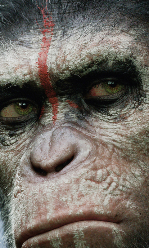 Baixar papel de parede para celular de Filme, Planeta Dos Macacos: O Confronto gratuito.