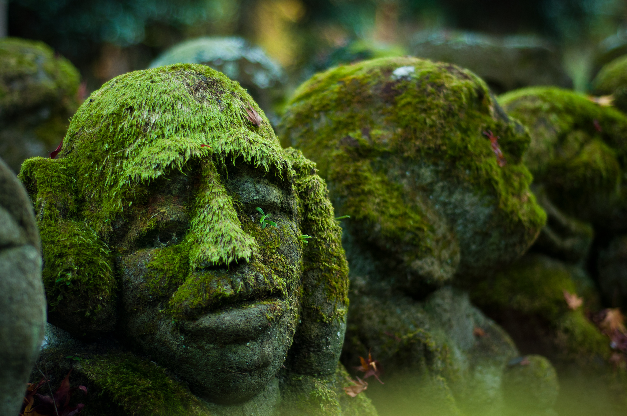 Download mobile wallpaper Earth, Statue, Moss for free.