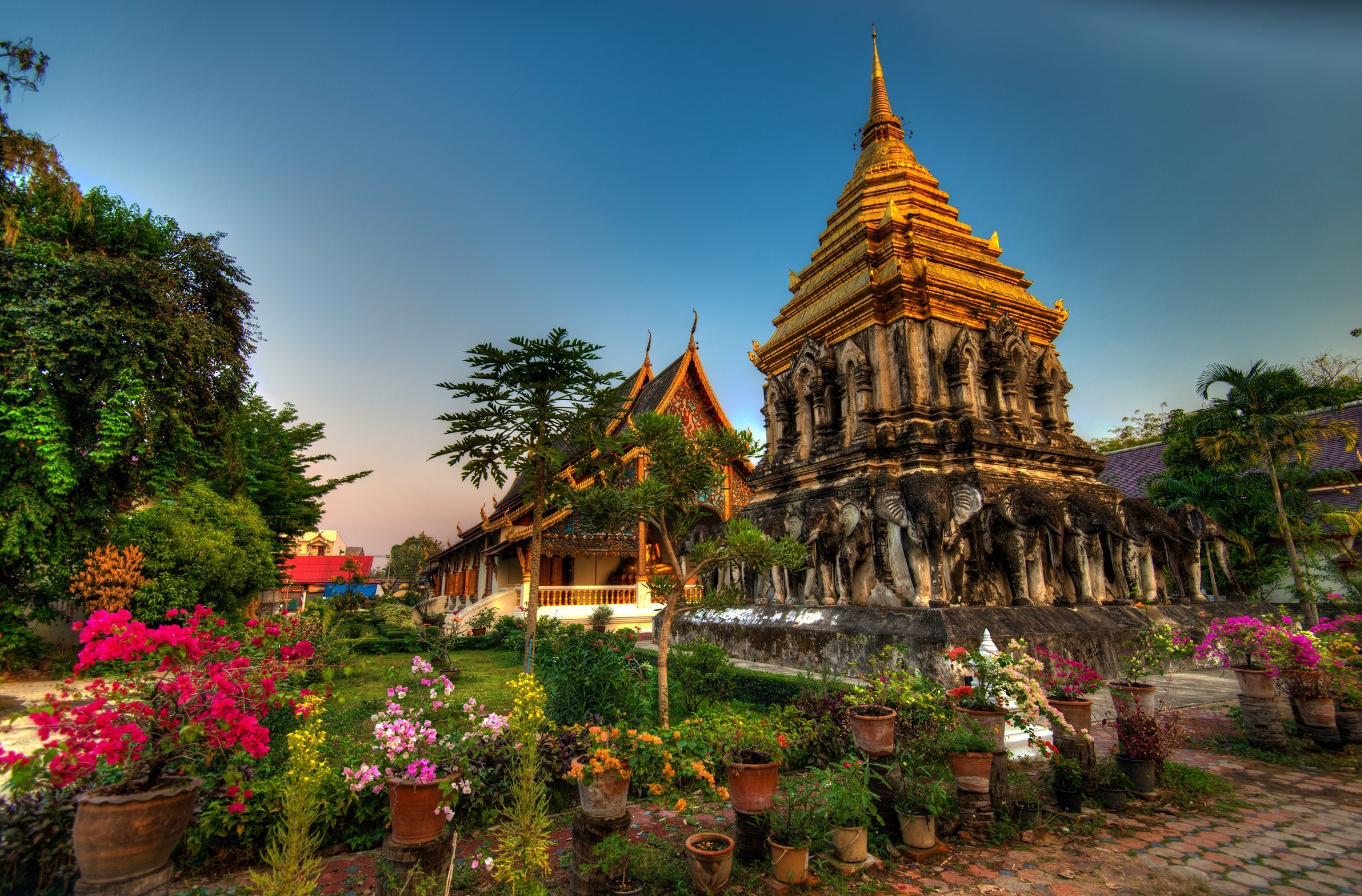 Téléchargez gratuitement l'image Temple, Thaïlande, Temples, Religieux, Vat Chiang Man, Chiang Maï sur le bureau de votre PC