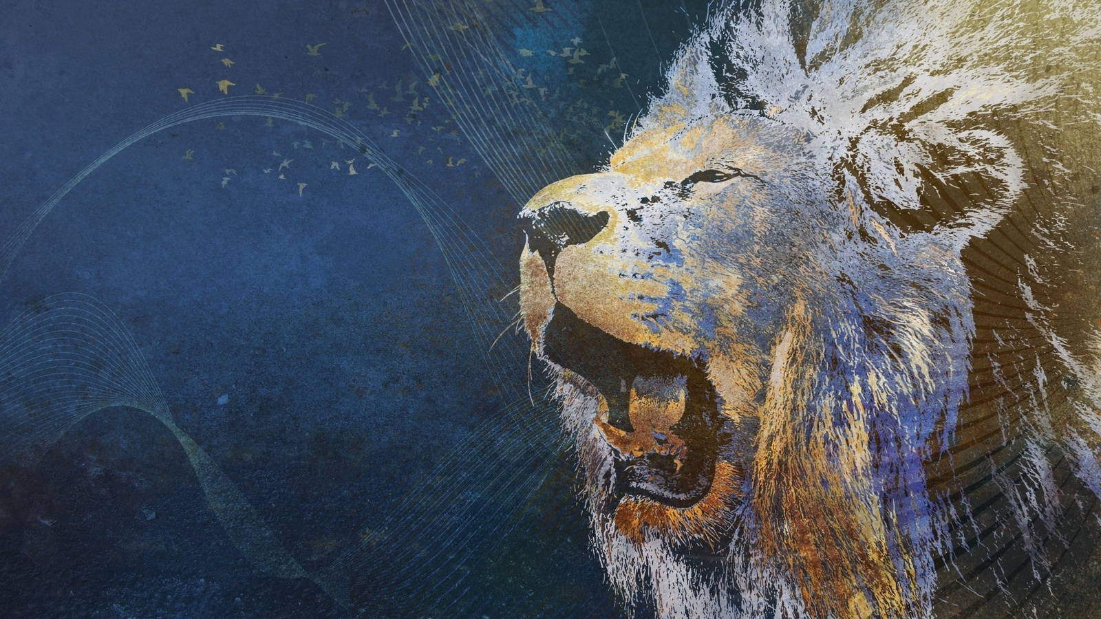 Laden Sie das Hintergrund, Tiere, Bilder, Lions-Bild kostenlos auf Ihren PC-Desktop herunter