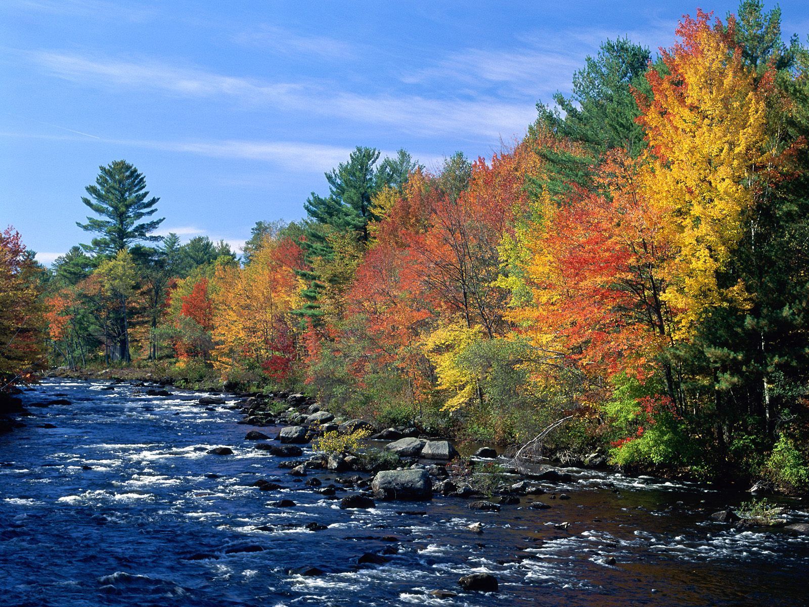 Скачать картинку Течение, Деревья, Природа, Река, Осень в телефон бесплатно.