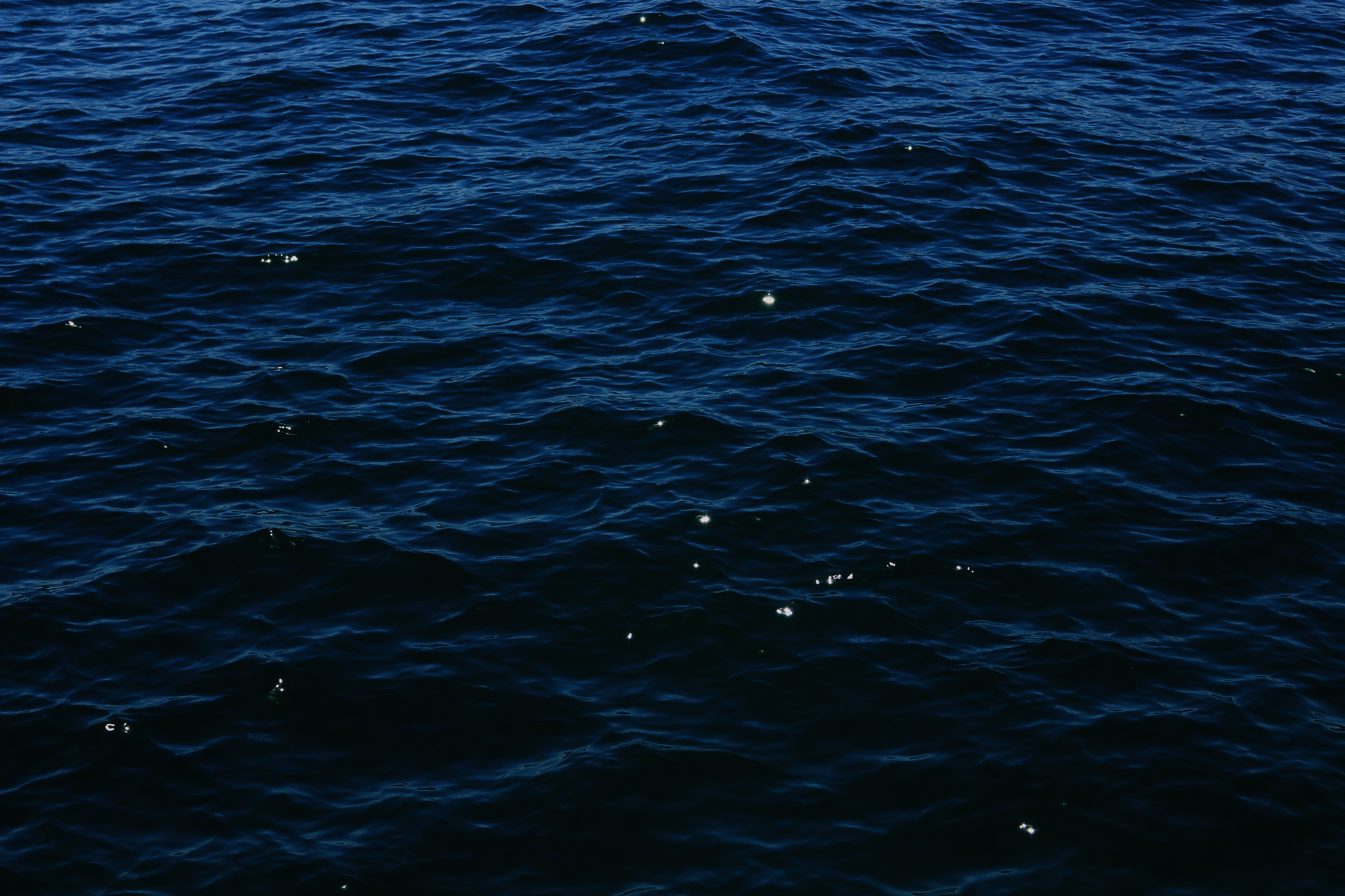 surface, nature, water, sea