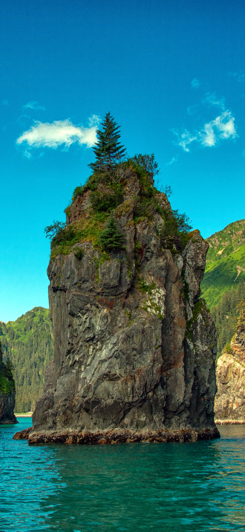 Handy-Wallpaper Cliff, Klippe, Stein, Alaska, Erde/natur kostenlos herunterladen.