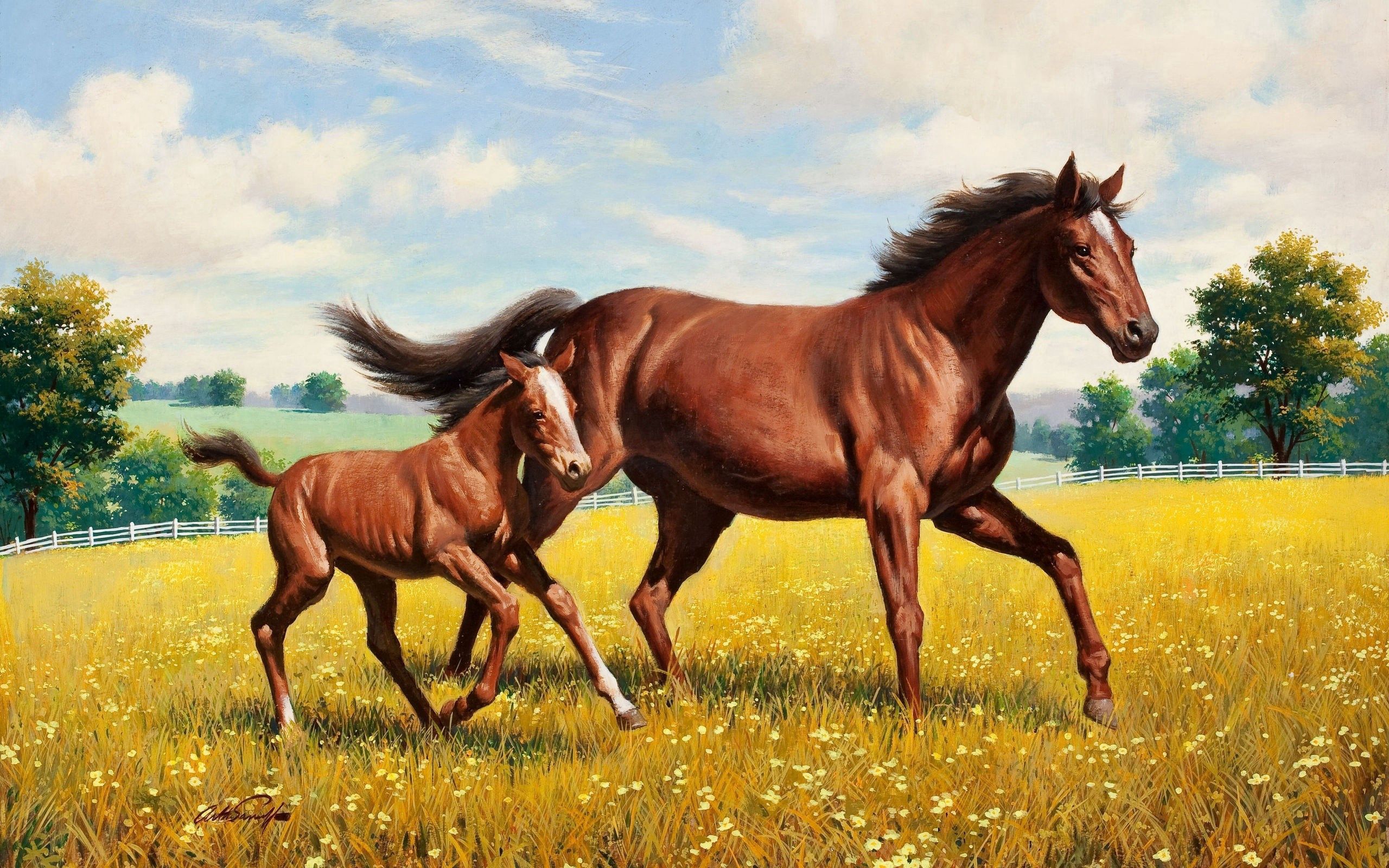 145251 скачать картинку поляна, жеребец, животные, трава, лошадь, бег - обои и заставки бесплатно