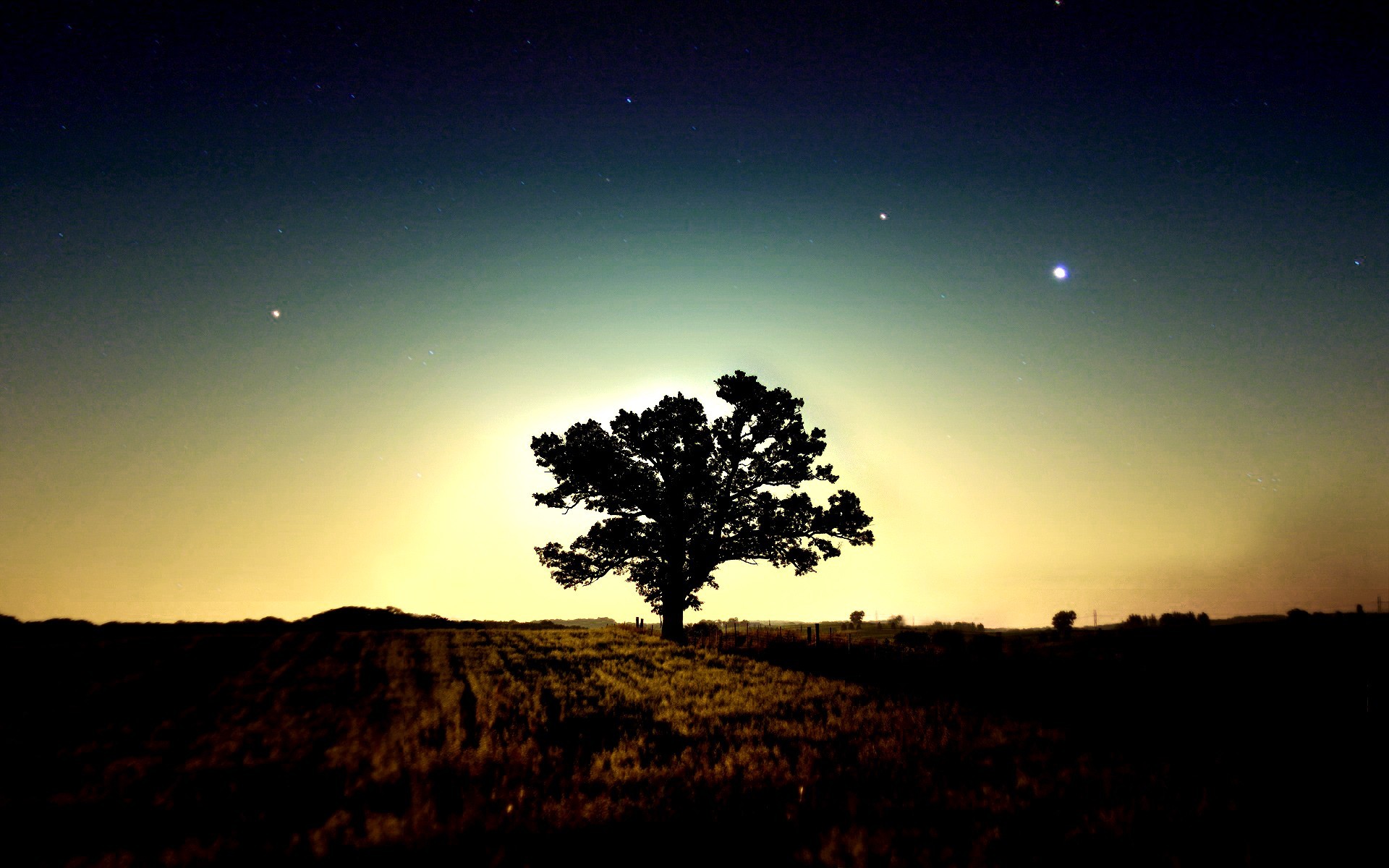 Descarga gratuita de fondo de pantalla para móvil de Árbol, Tierra/naturaleza.