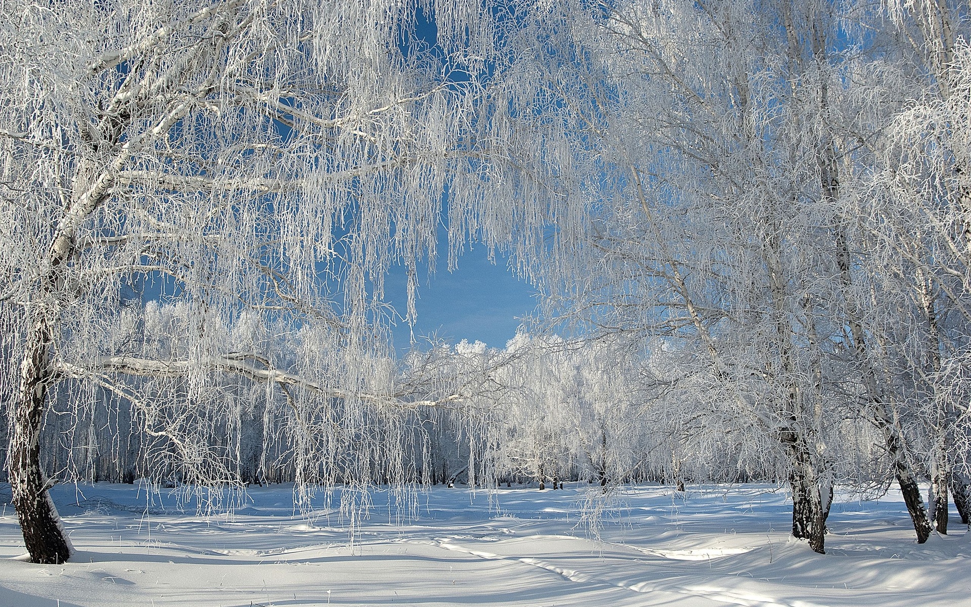  Winter HQ Background Images