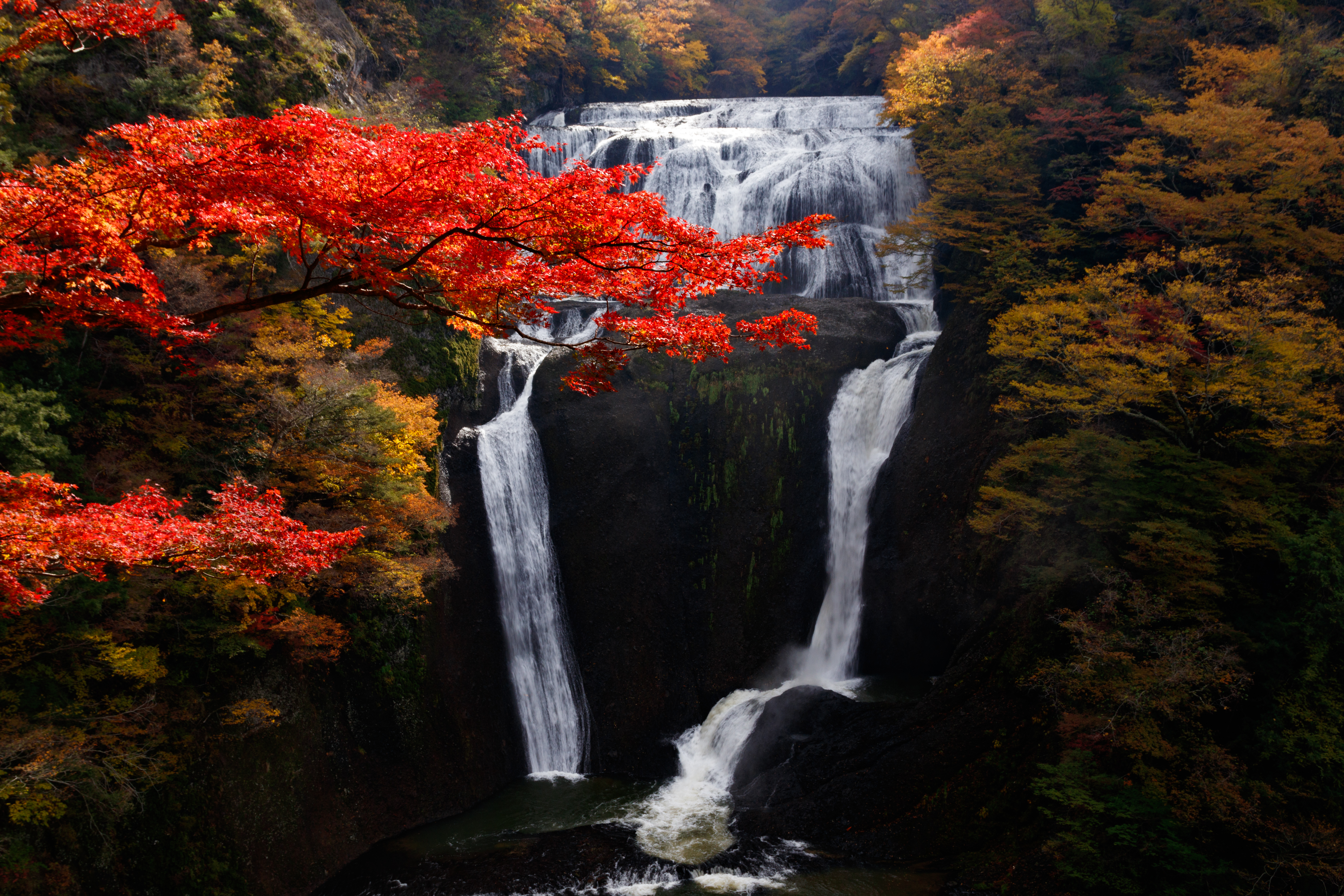 autumn, break, nature, trees, waterfall, precipice, flow