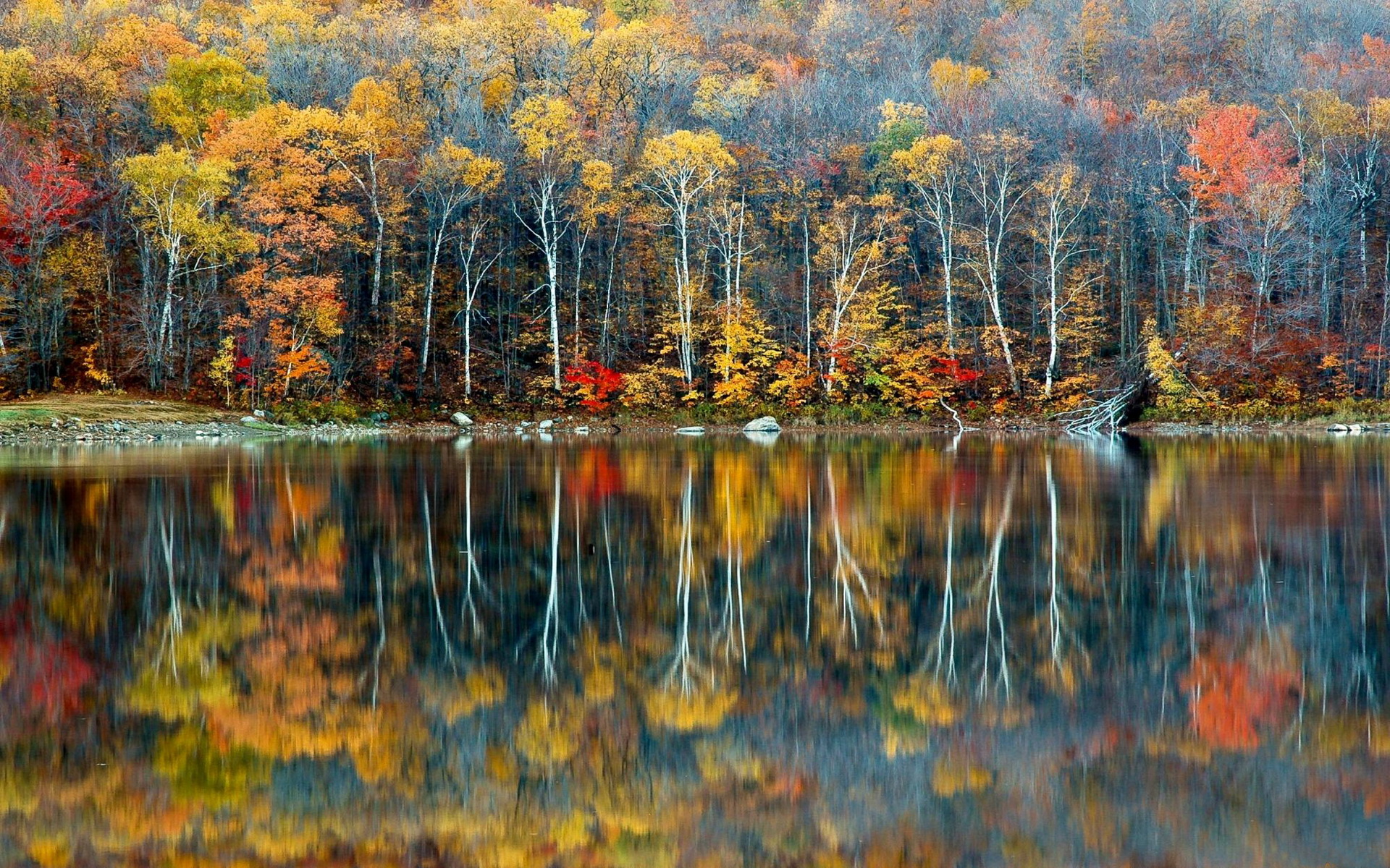 Téléchargez gratuitement l'image Terre/nature, Réflection sur le bureau de votre PC