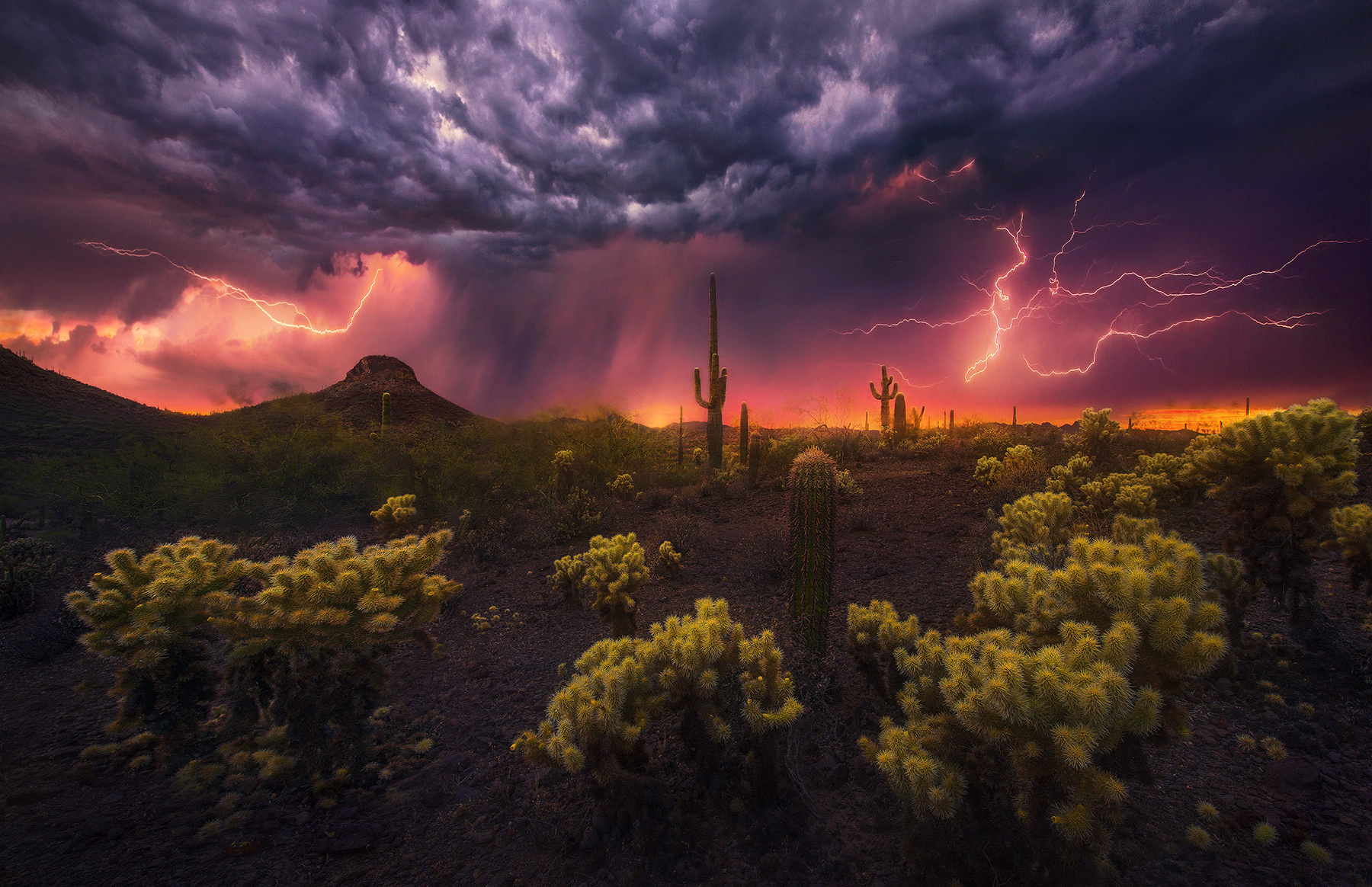Free download wallpaper Lightning, Desert, Cactus, Photography on your PC desktop