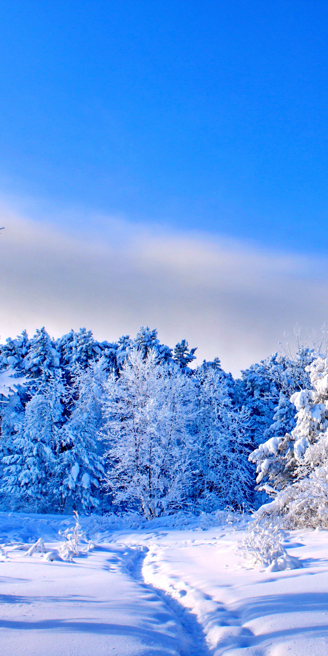 Скачати мобільні шпалери Зима, Природа, Сніг, Земля безкоштовно.