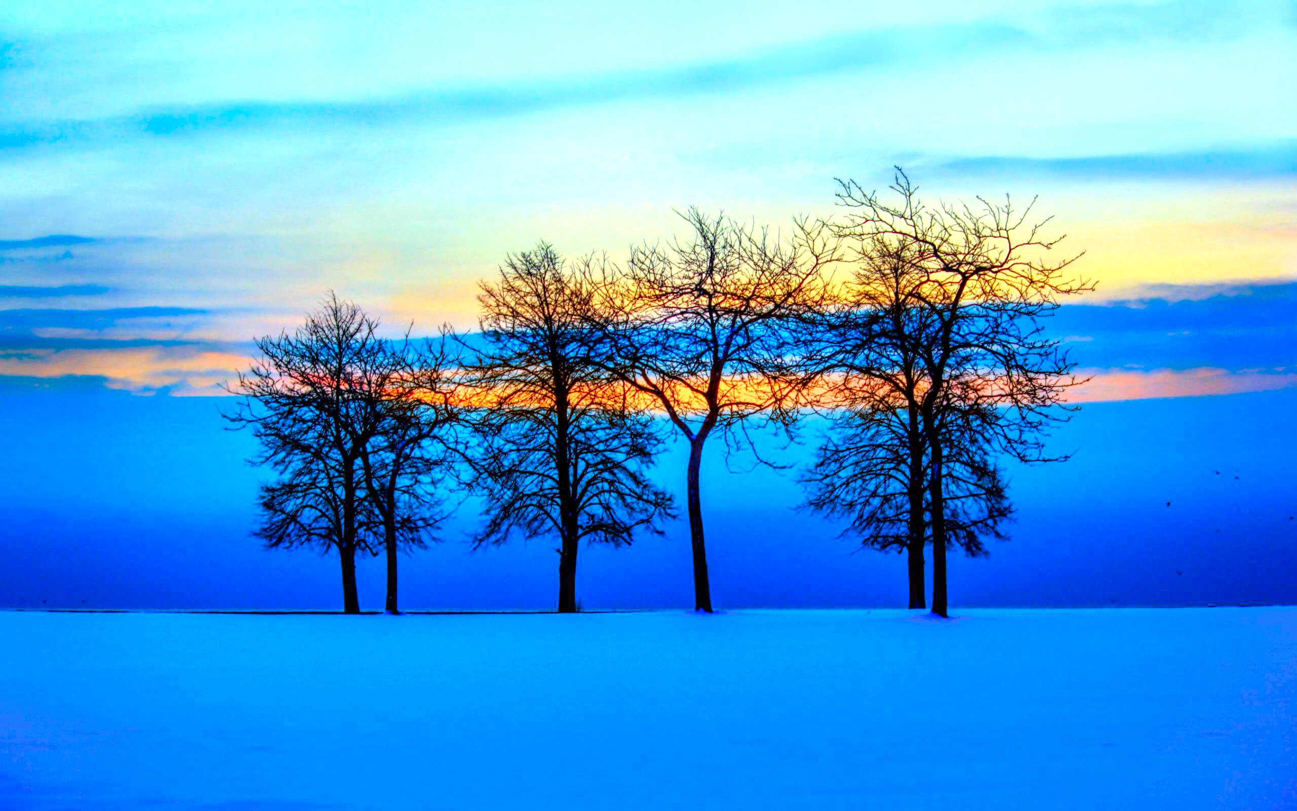 Скачать картинку Зима, Природа, Небо, Снег, Горизонт, Дерево, Синий, Земля/природа в телефон бесплатно.