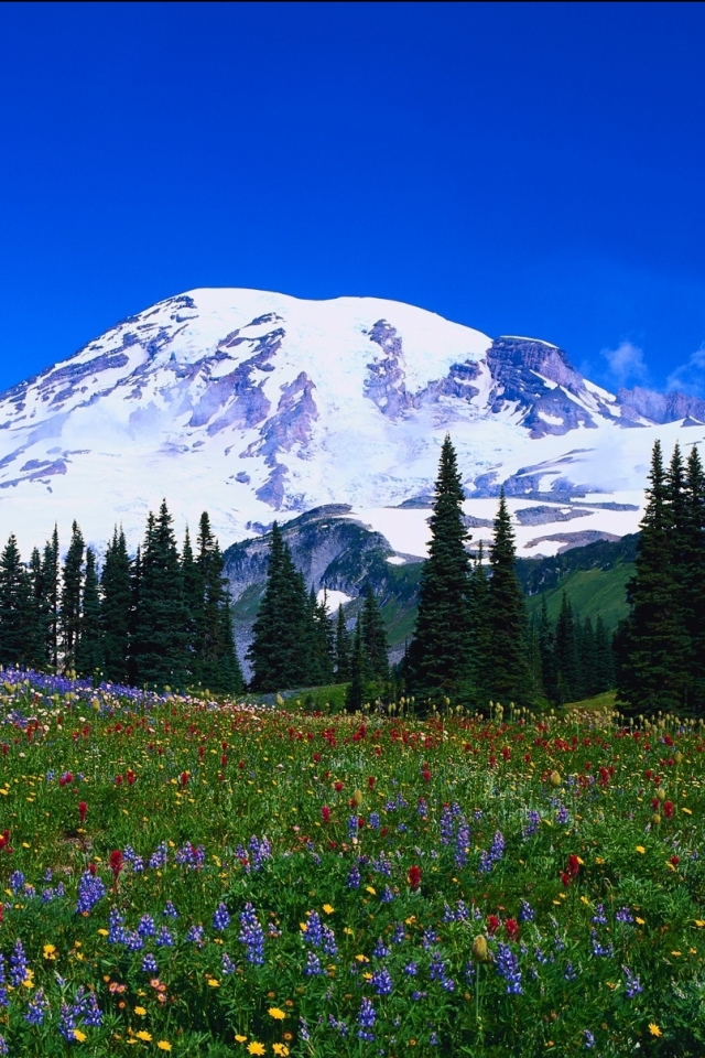 Descarga gratuita de fondo de pantalla para móvil de Montañas, Montaña, Tierra/naturaleza.