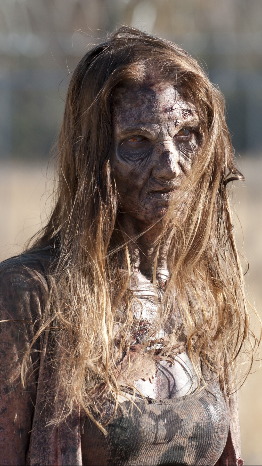 Download mobile wallpaper Tv Show, Zombie, The Walking Dead for free.