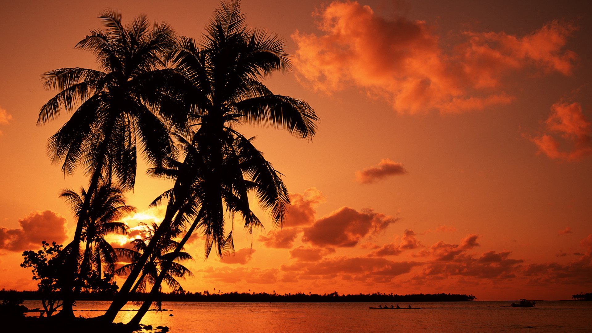 20773 Hintergrundbild herunterladen sea, landschaft, sunset, palms, orange - Bildschirmschoner und Bilder kostenlos