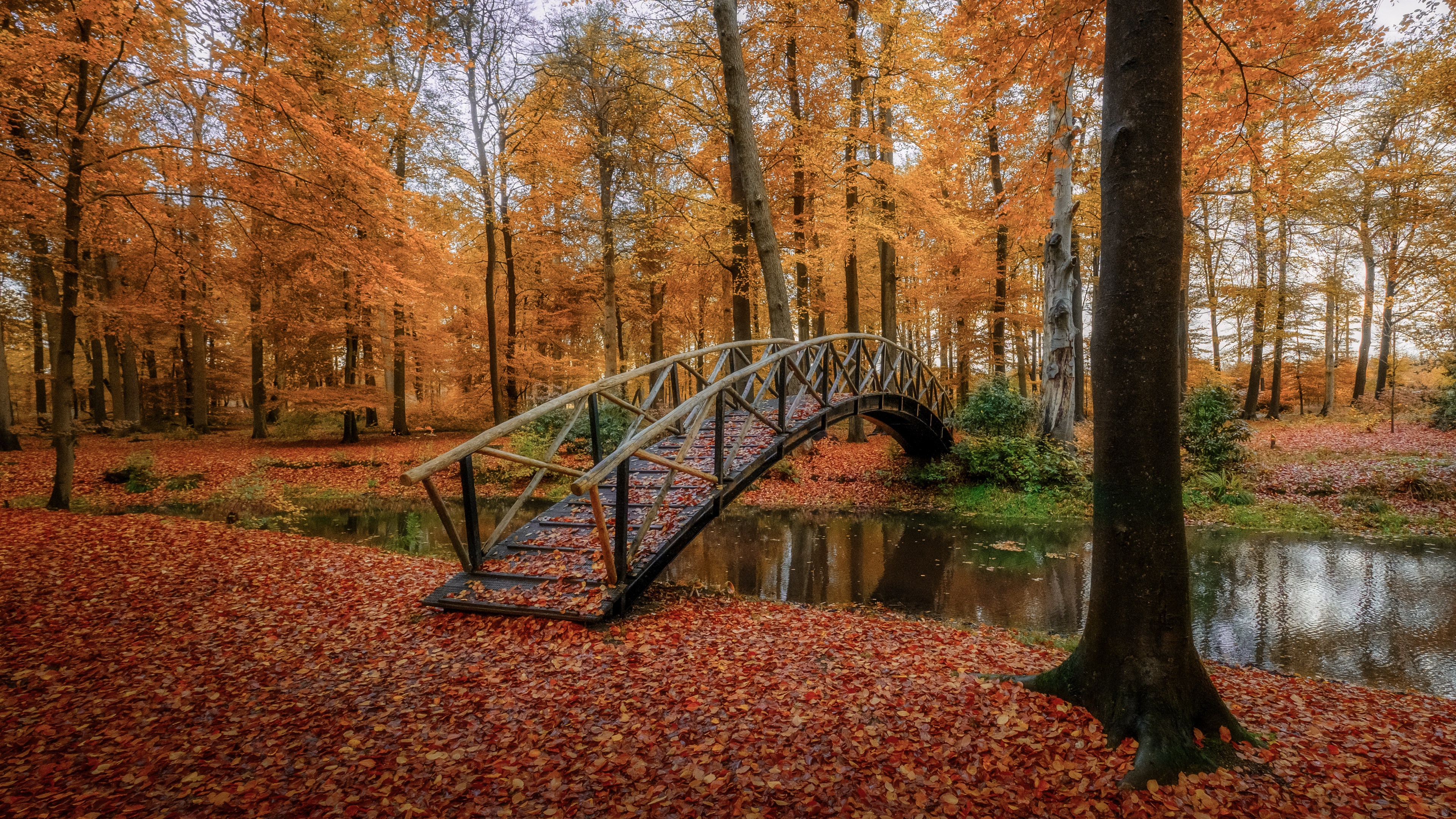 Laden Sie das Natur, Herbst, Park, Brücke, Fotografie-Bild kostenlos auf Ihren PC-Desktop herunter