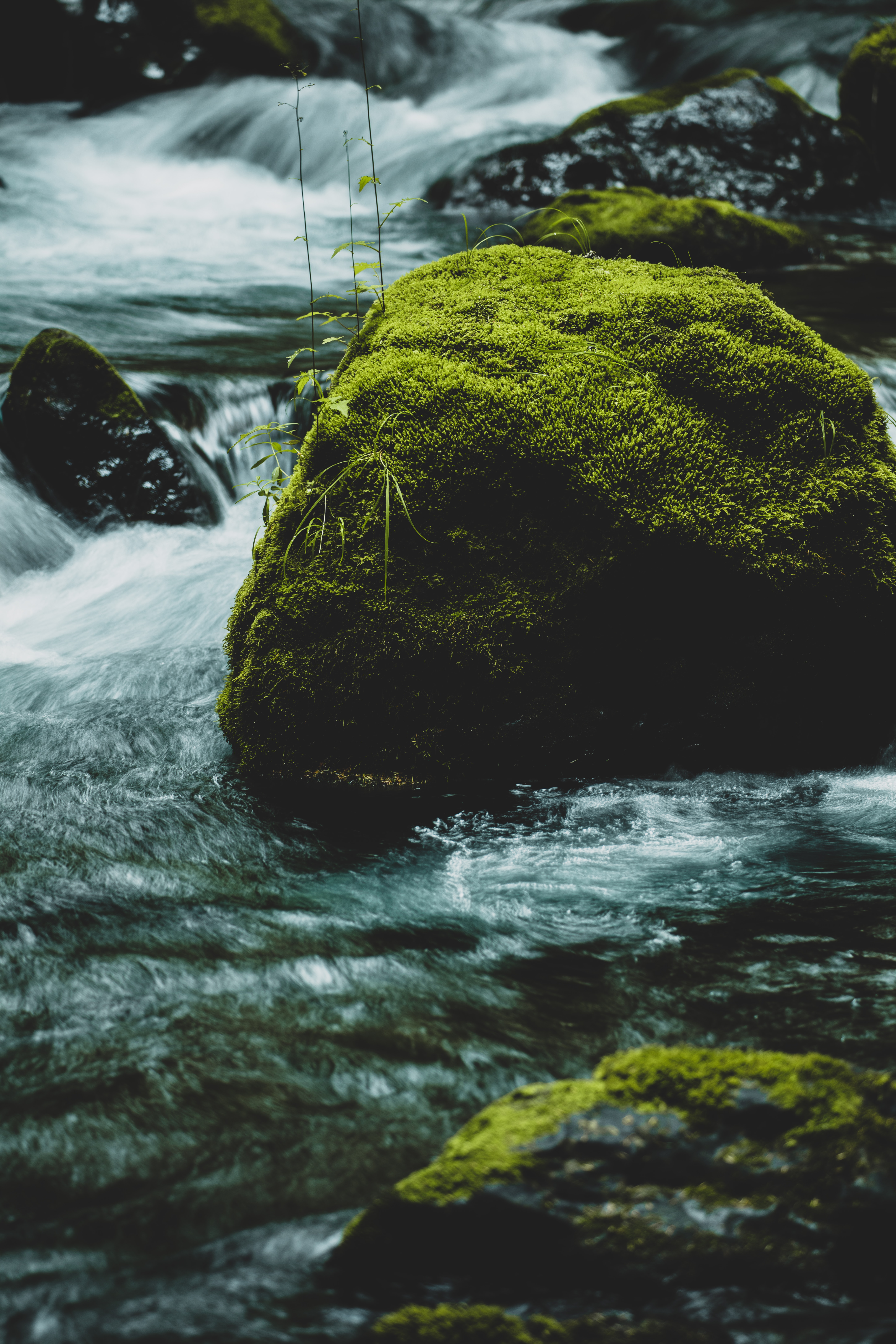 Free download wallpaper Water, Rivers, Rock, Flow, Moss, Stream, Nature, Stone on your PC desktop