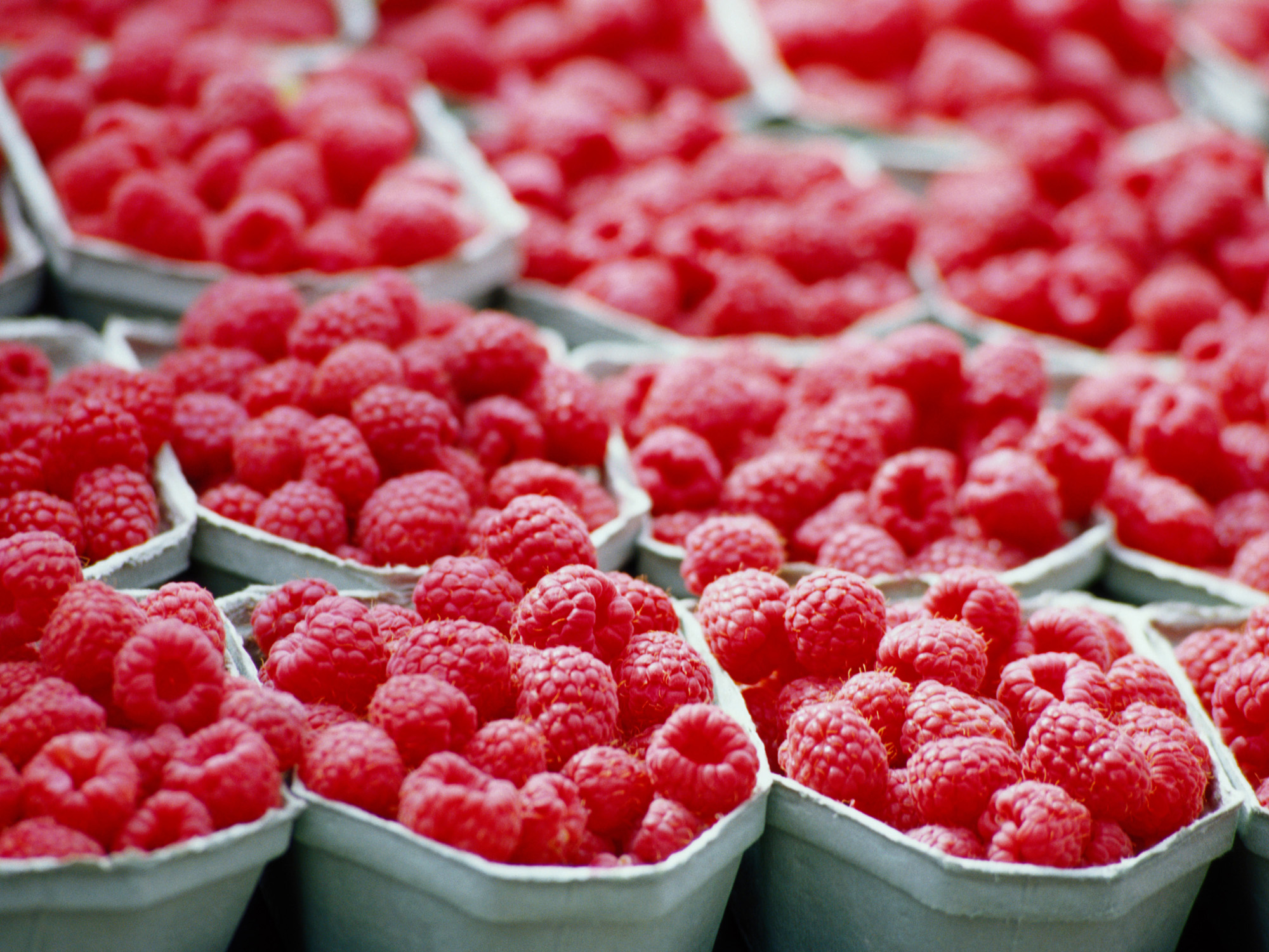 Téléchargez gratuitement l'image Nourriture, Framboise, Des Fruits sur le bureau de votre PC