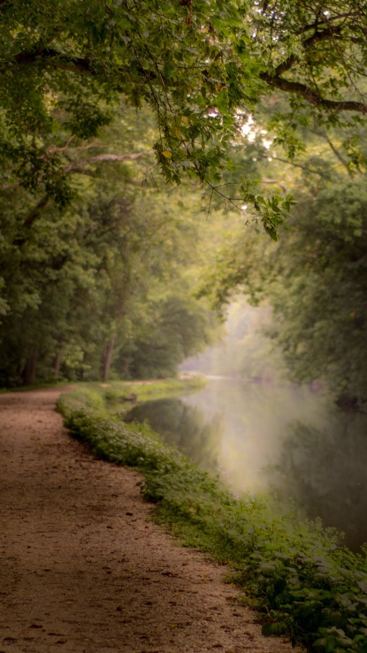 Descarga gratuita de fondo de pantalla para móvil de Naturaleza, Rio, Camino, Bosque, Río, Tierra/naturaleza.