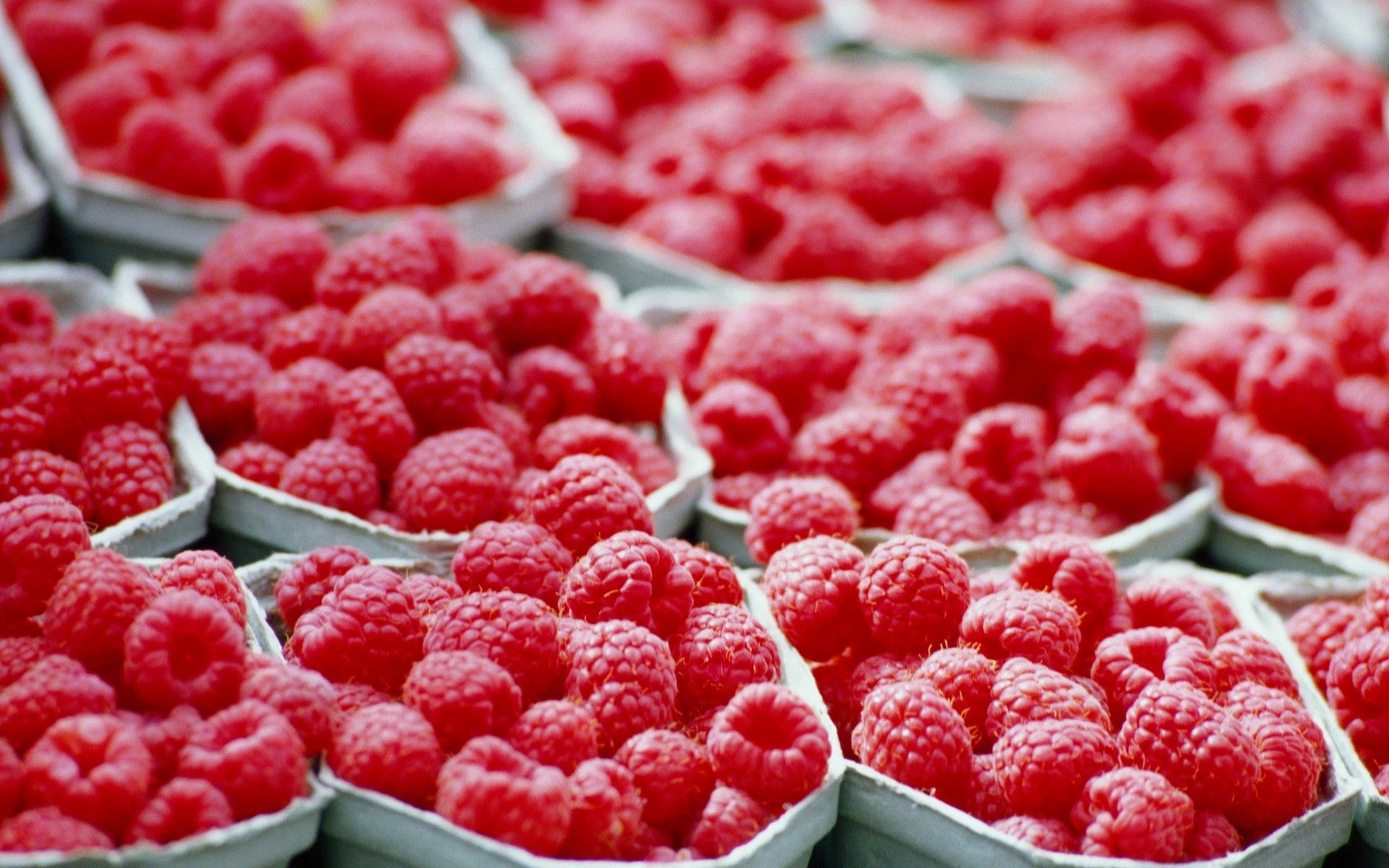 food, raspberry, berry, ripe, bags, pouches iphone wallpaper