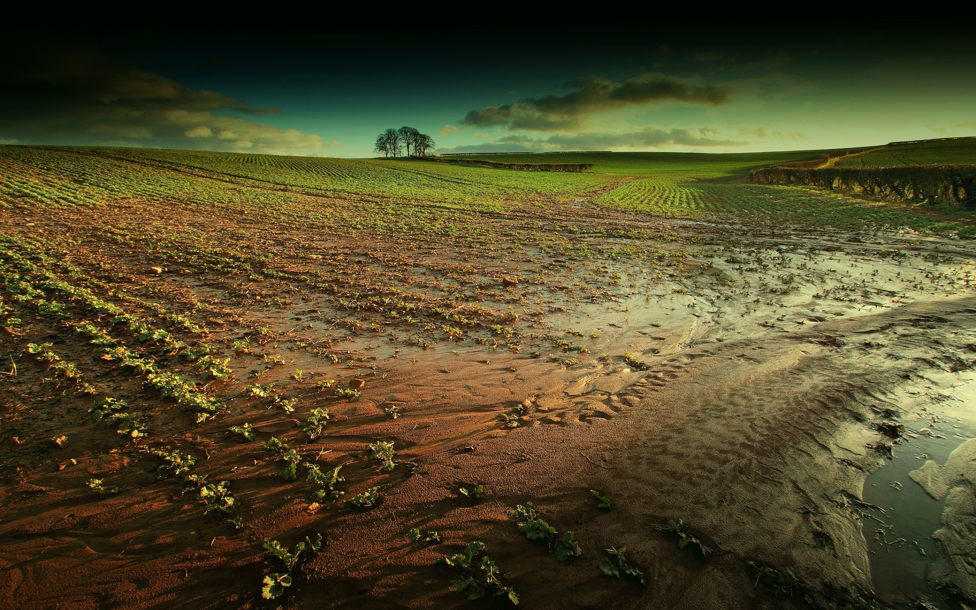 earth, muddy field