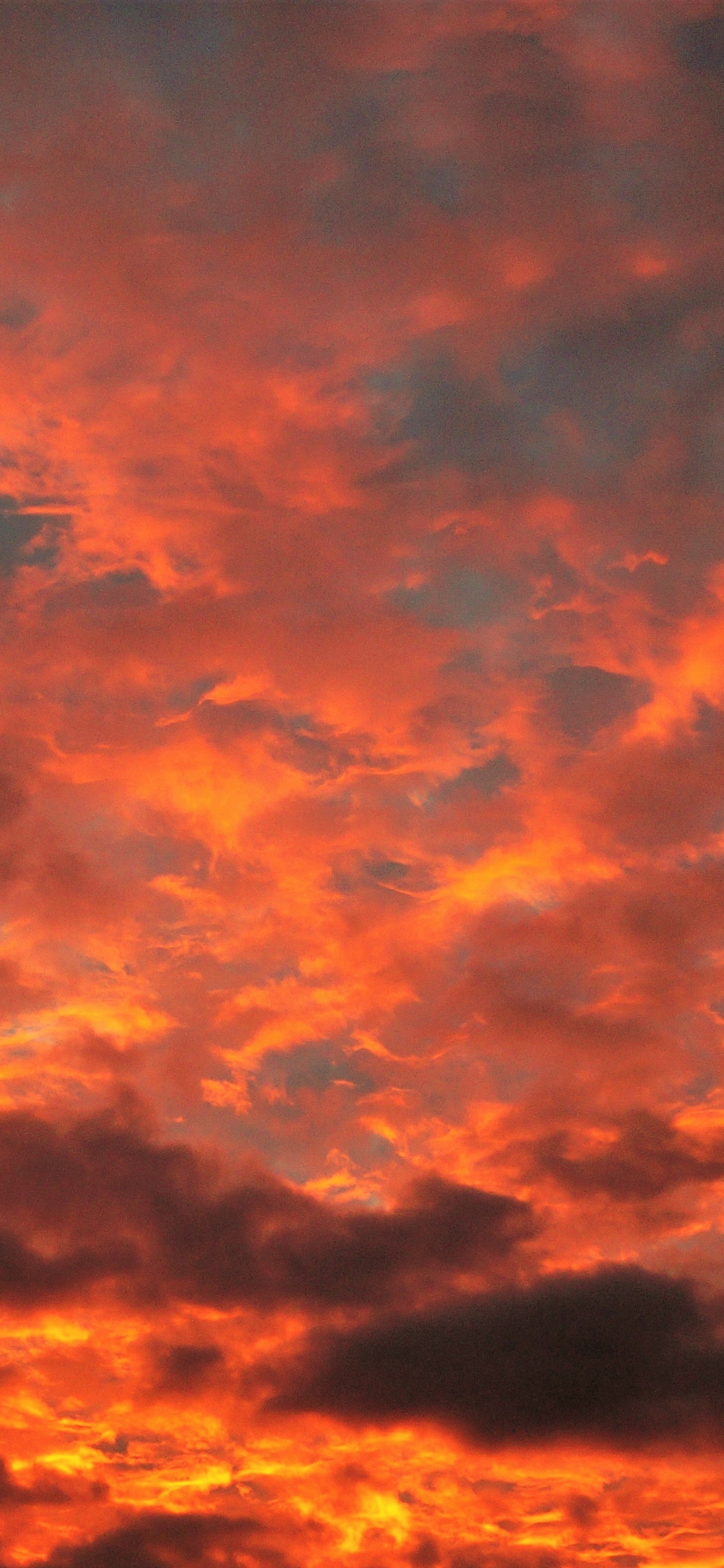 Скачать картинку Закат, Небо, Облака, Облако, Земля/природа, Закат Солнца, Оранжевый Цвет) в телефон бесплатно.