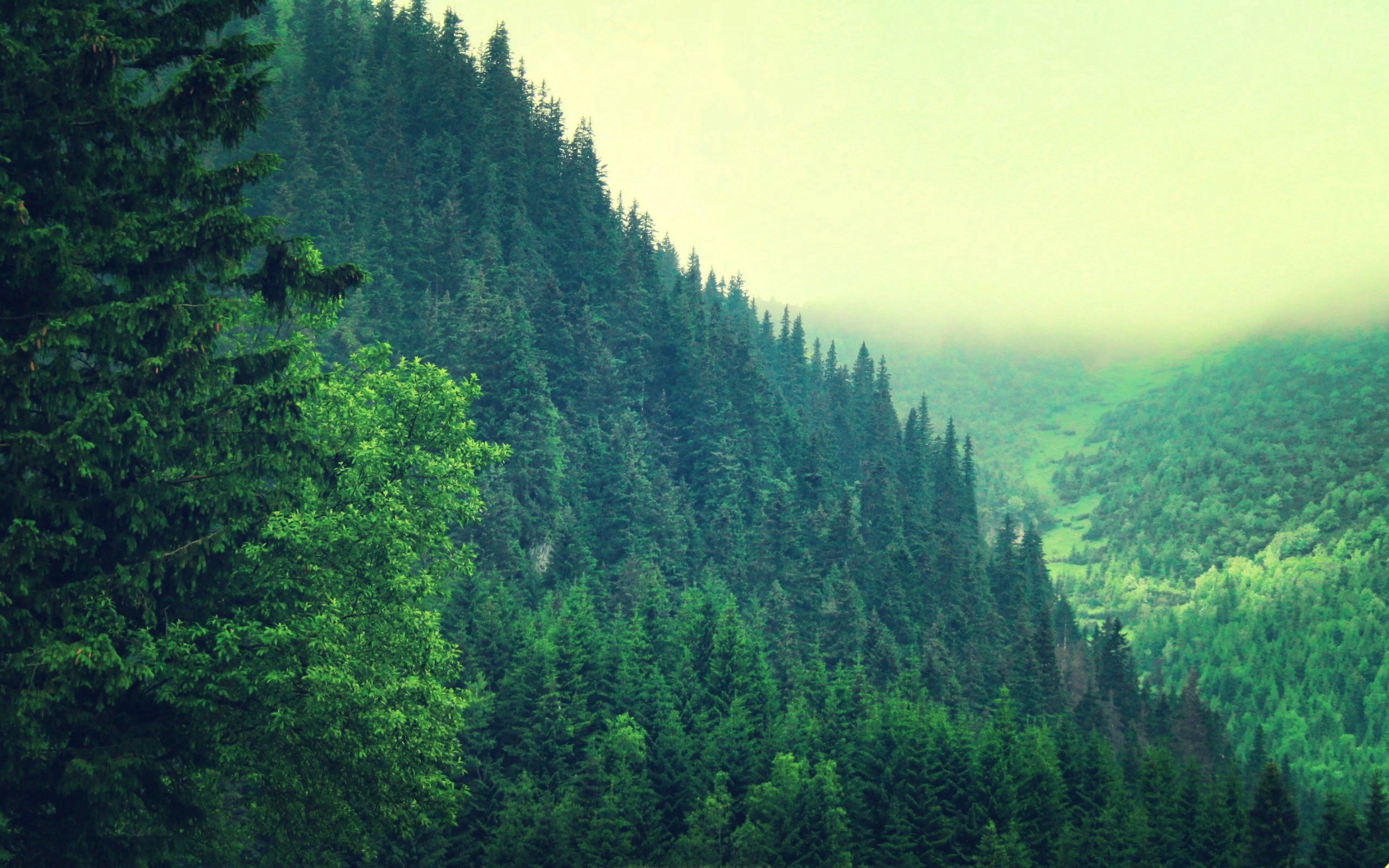 Handy-Wallpaper Bäume, Mountains, Natur, Sky, Sommer kostenlos herunterladen.