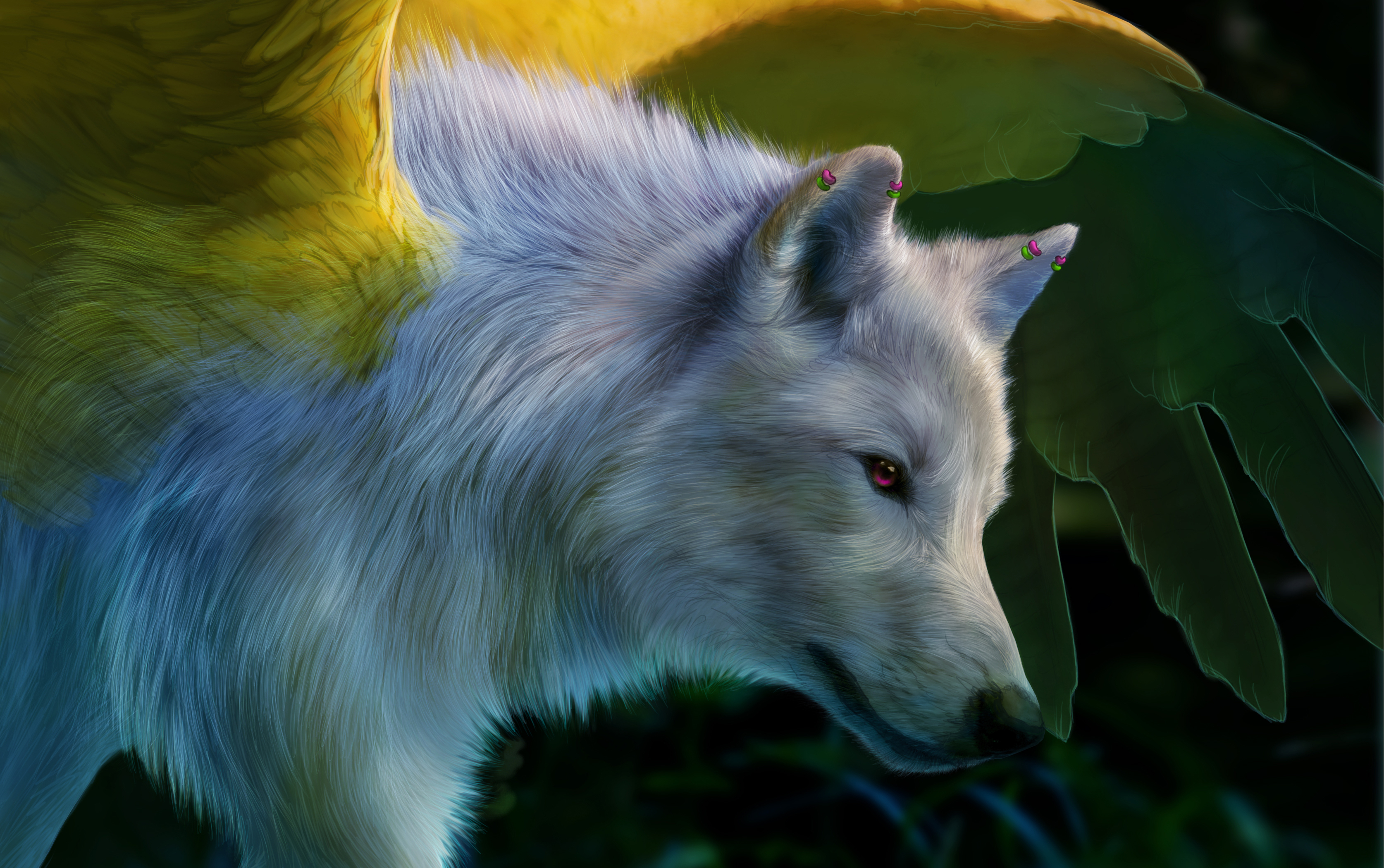 Free download wallpaper Wolves, Wolf, Animal on your PC desktop