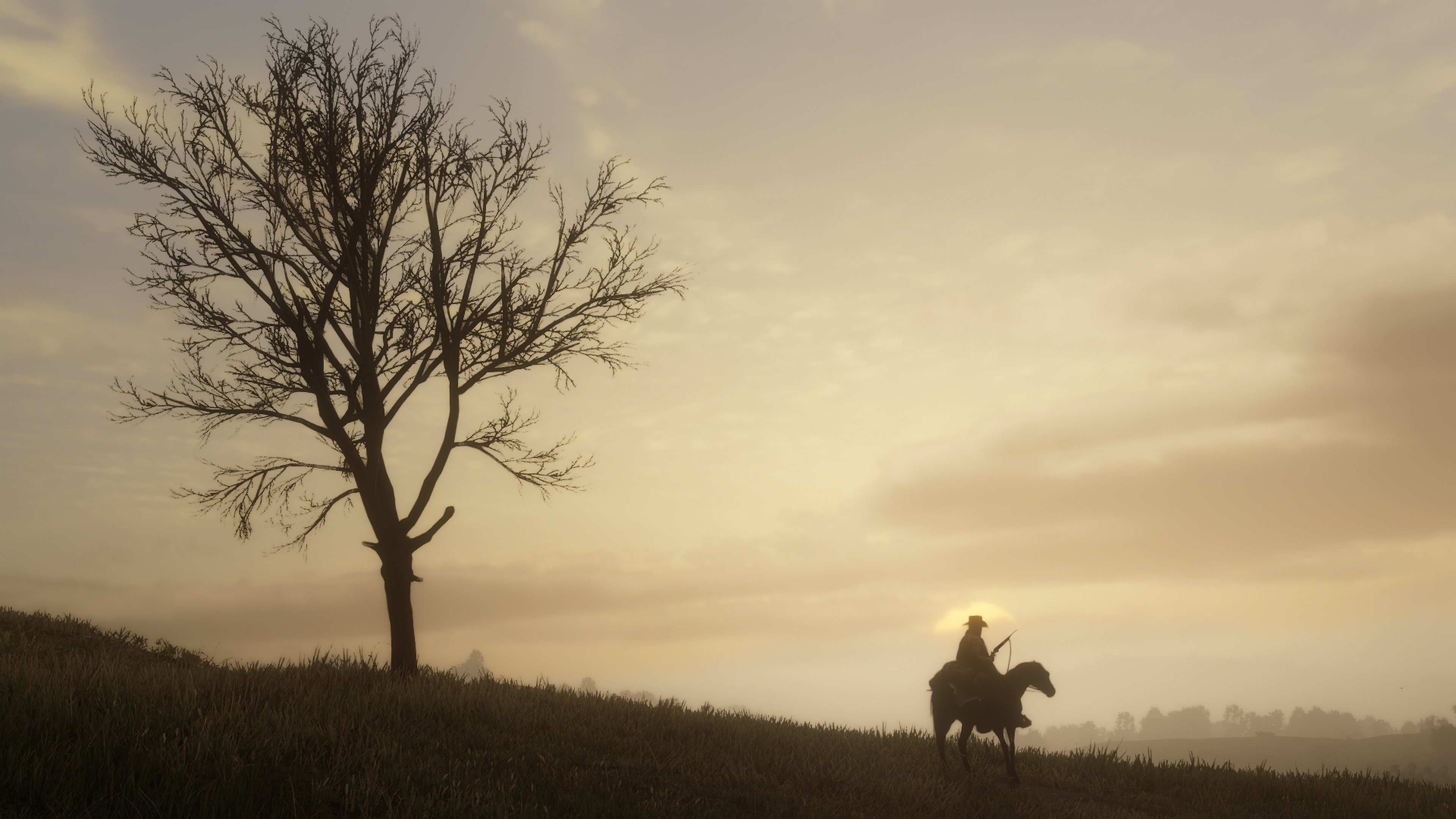 red dead redemption 2, arthur morgan, red dead, video game