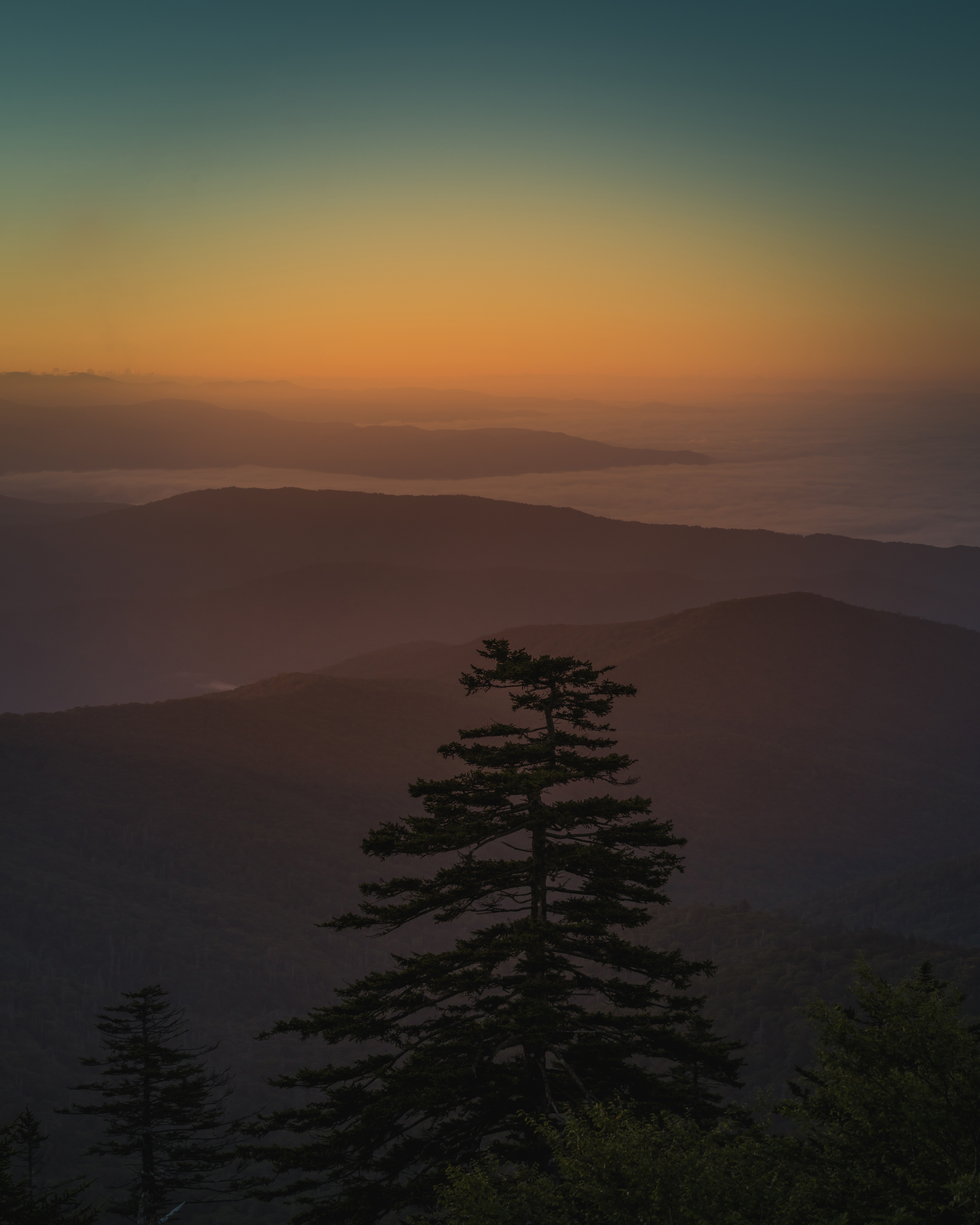 Laden Sie das Clouds, Holz, Nebel, Natur, Sunset, Mountains, Baum-Bild kostenlos auf Ihren PC-Desktop herunter