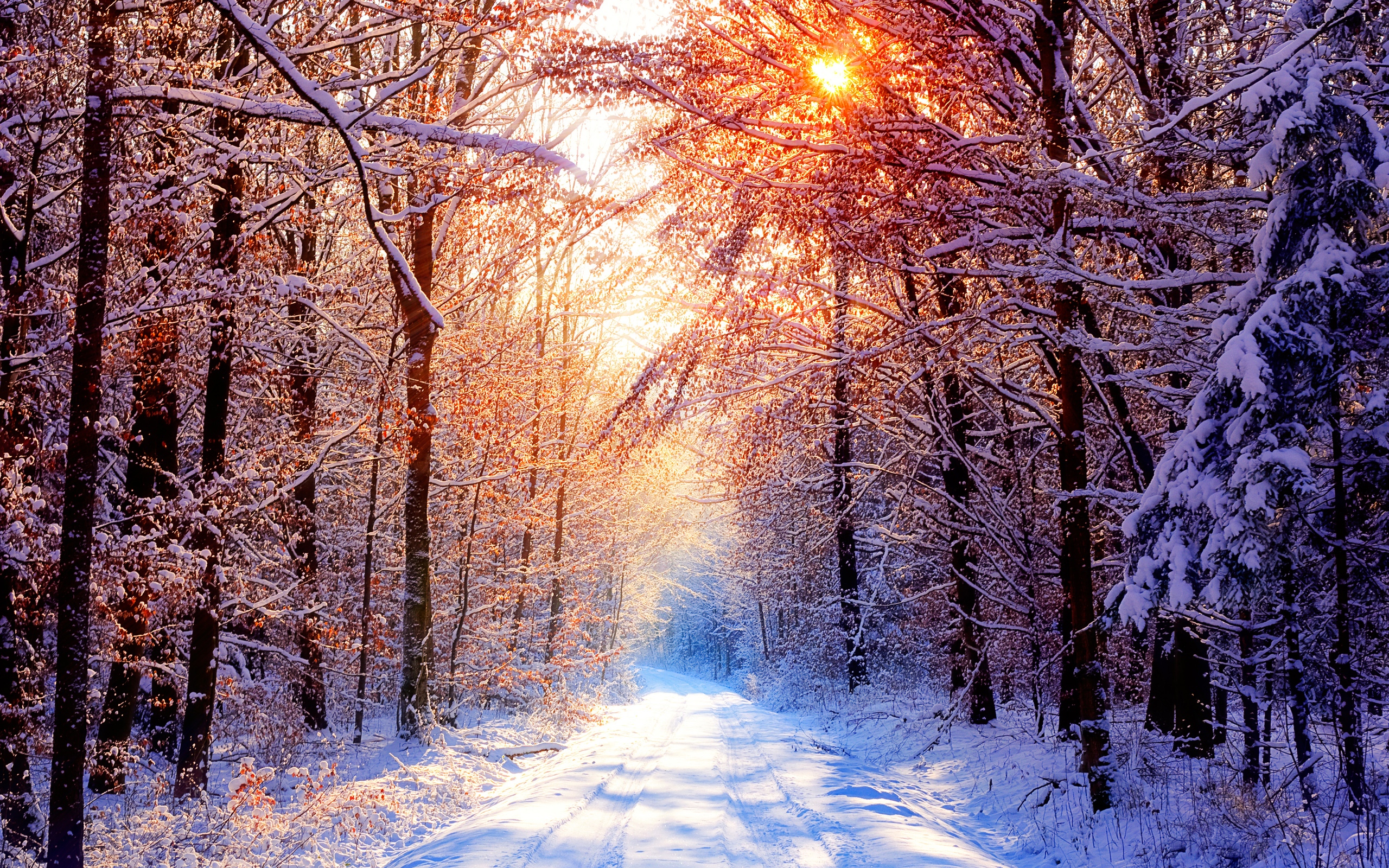 Laden Sie das Winter, Feuerwerk, Erde/natur-Bild kostenlos auf Ihren PC-Desktop herunter