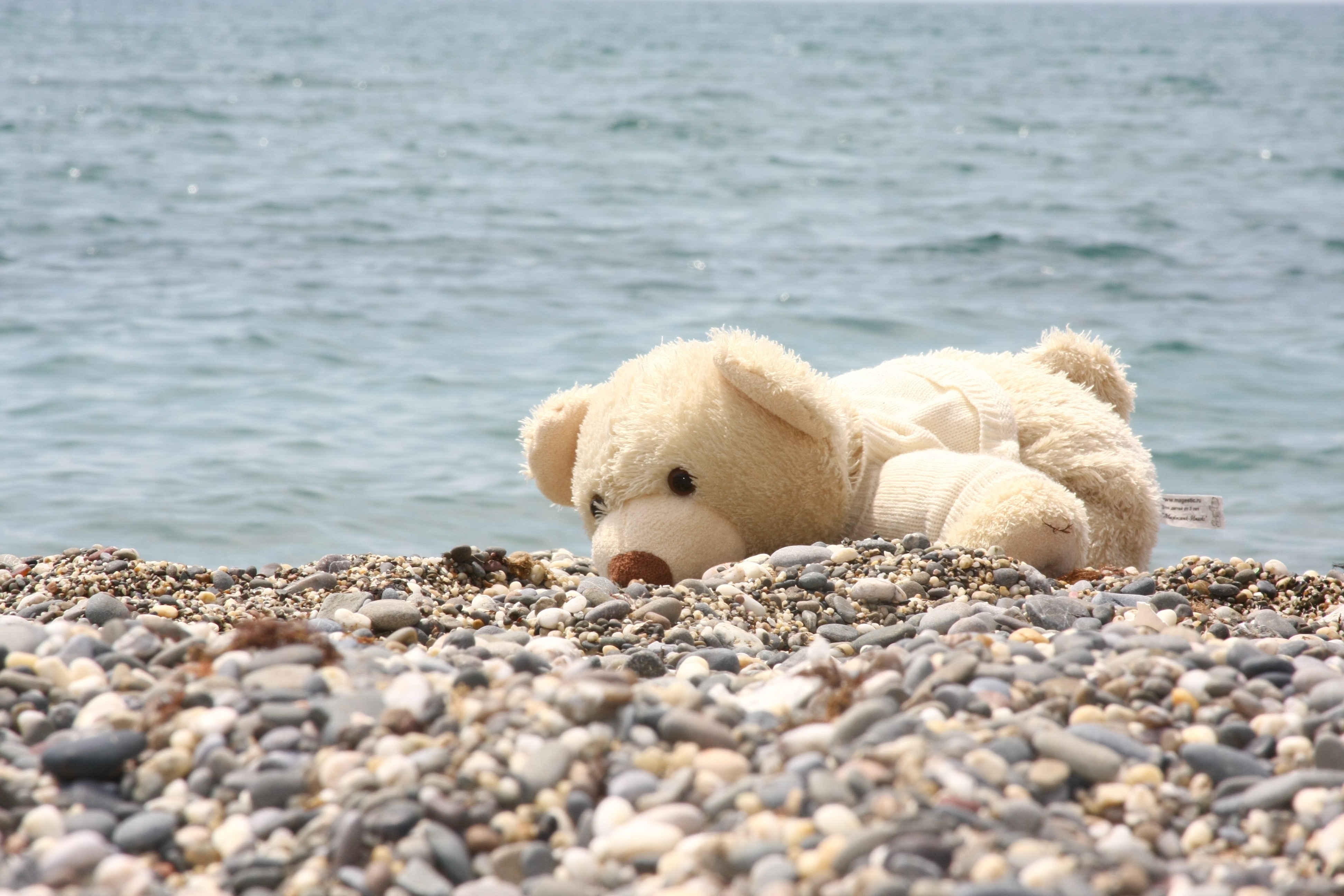80695 скачать картинку разное, камни, море, берег, медведь, мягкая игрушка - обои и заставки бесплатно