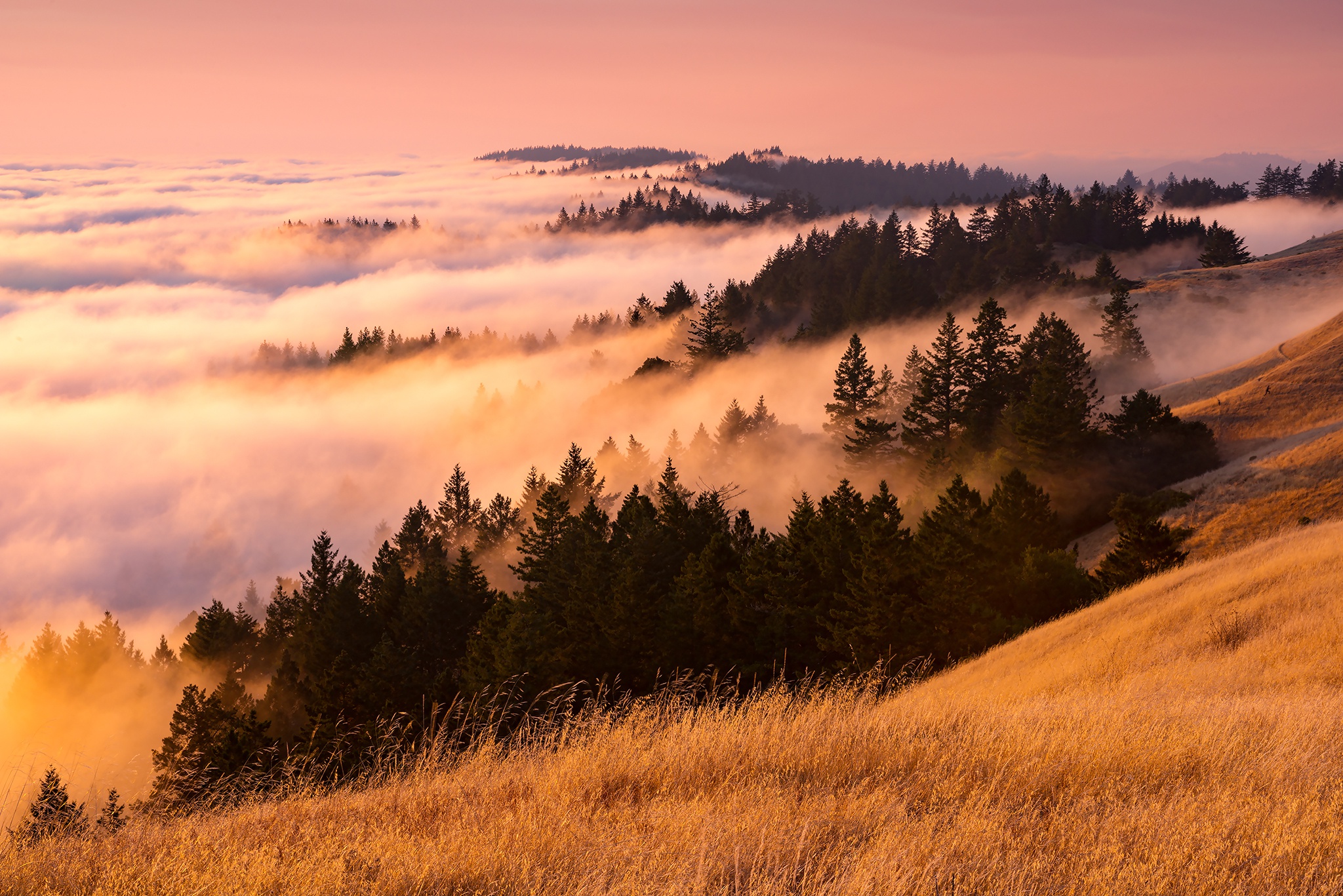 PCデスクトップに風景, 自然, 霧, 地球画像を無料でダウンロード