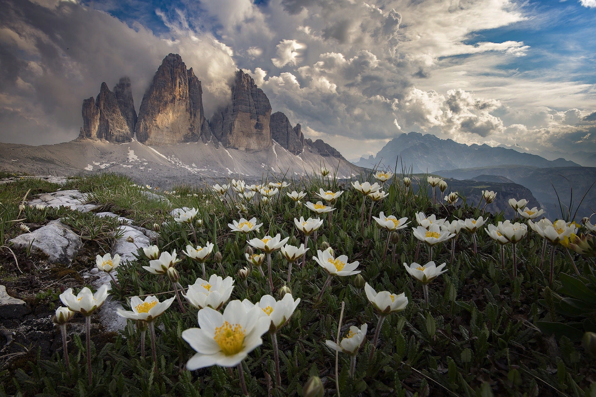 Download mobile wallpaper Mountains, Italy, Mountain, Earth, Dolomites, White Flower for free.