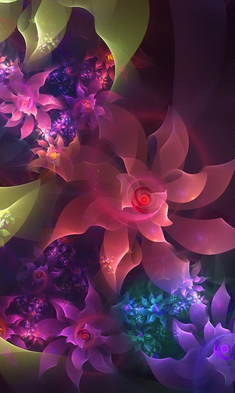 Download mobile wallpaper Abstract, Flower, Fractal, Colors, Colorful for free.