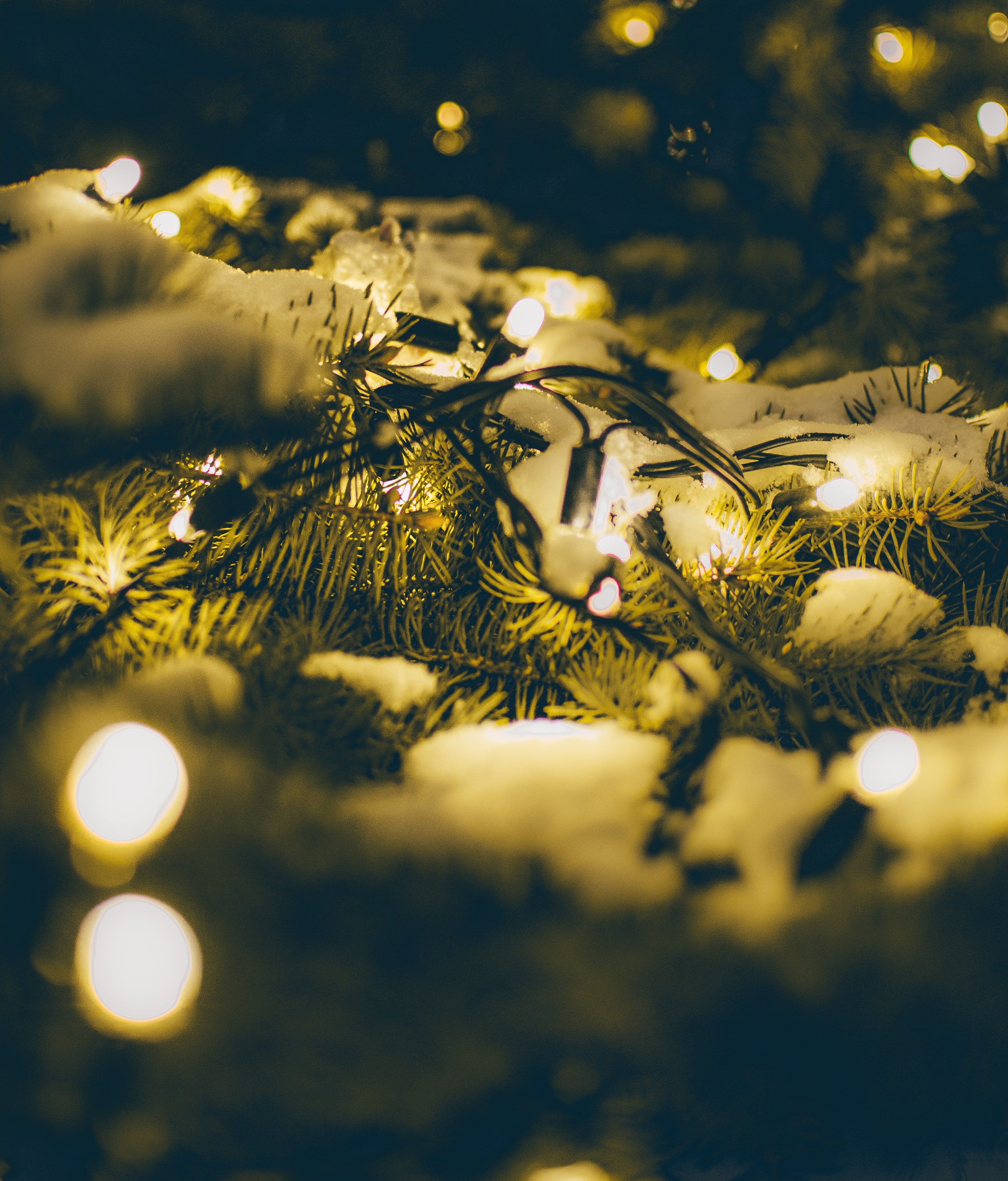Free download wallpaper Snow, Shine, Miscellanea, Miscellaneous, Branches, Spruce, Fir, Garland, Light on your PC desktop