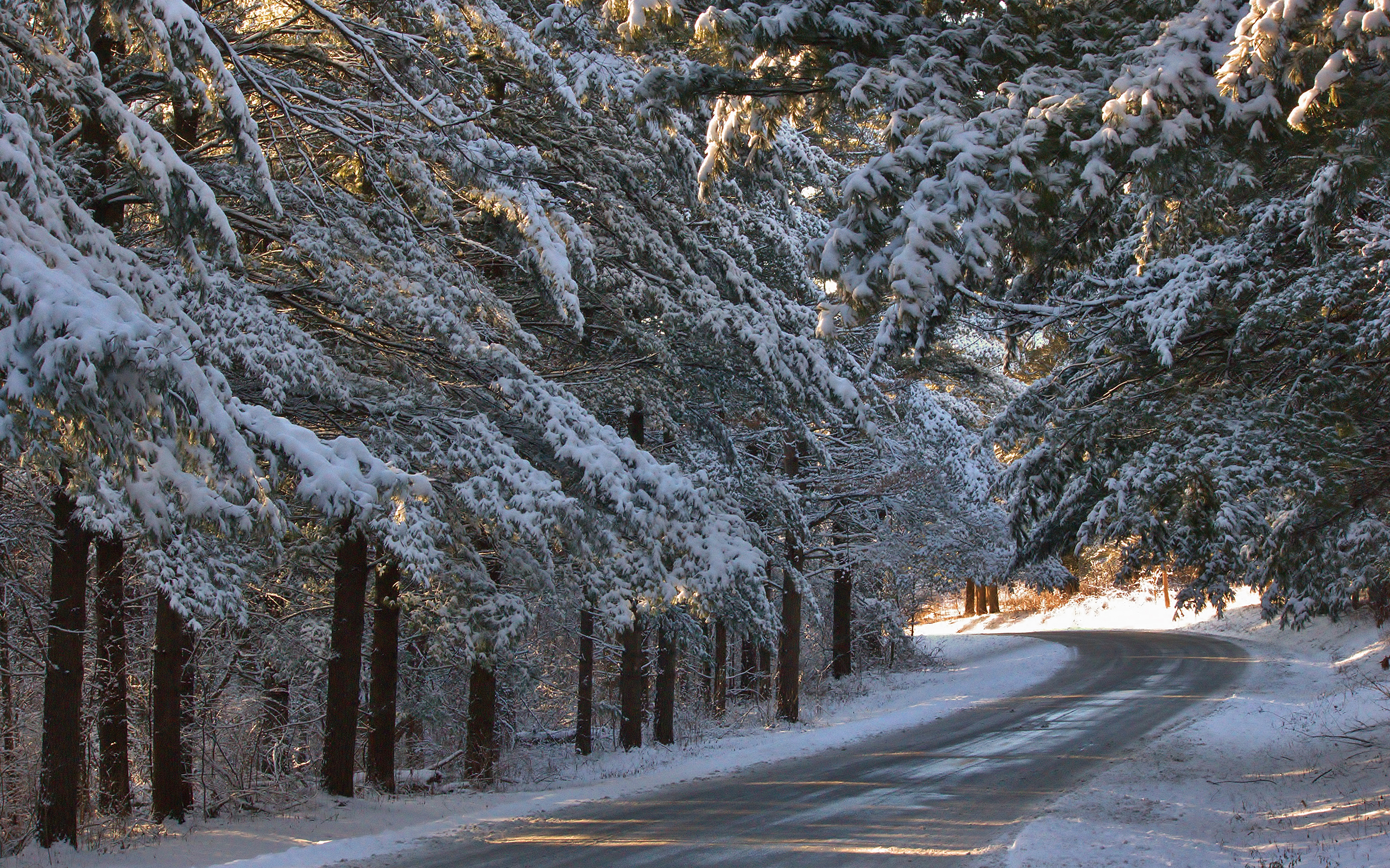 Download mobile wallpaper Winter, Snow, Road, Tree, Earth for free.