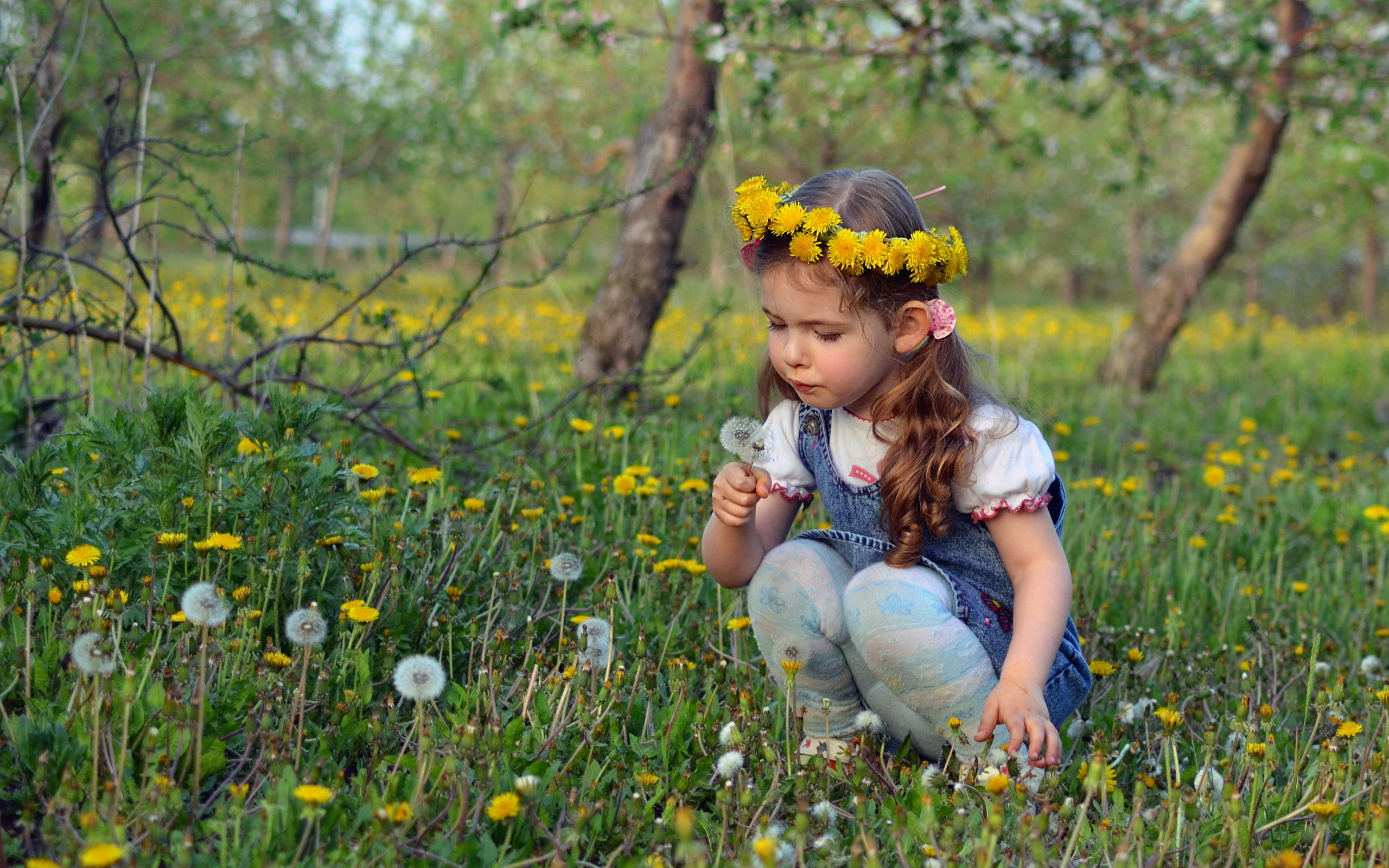 little girl, photography, child, cute, dandelion, flower, wreath